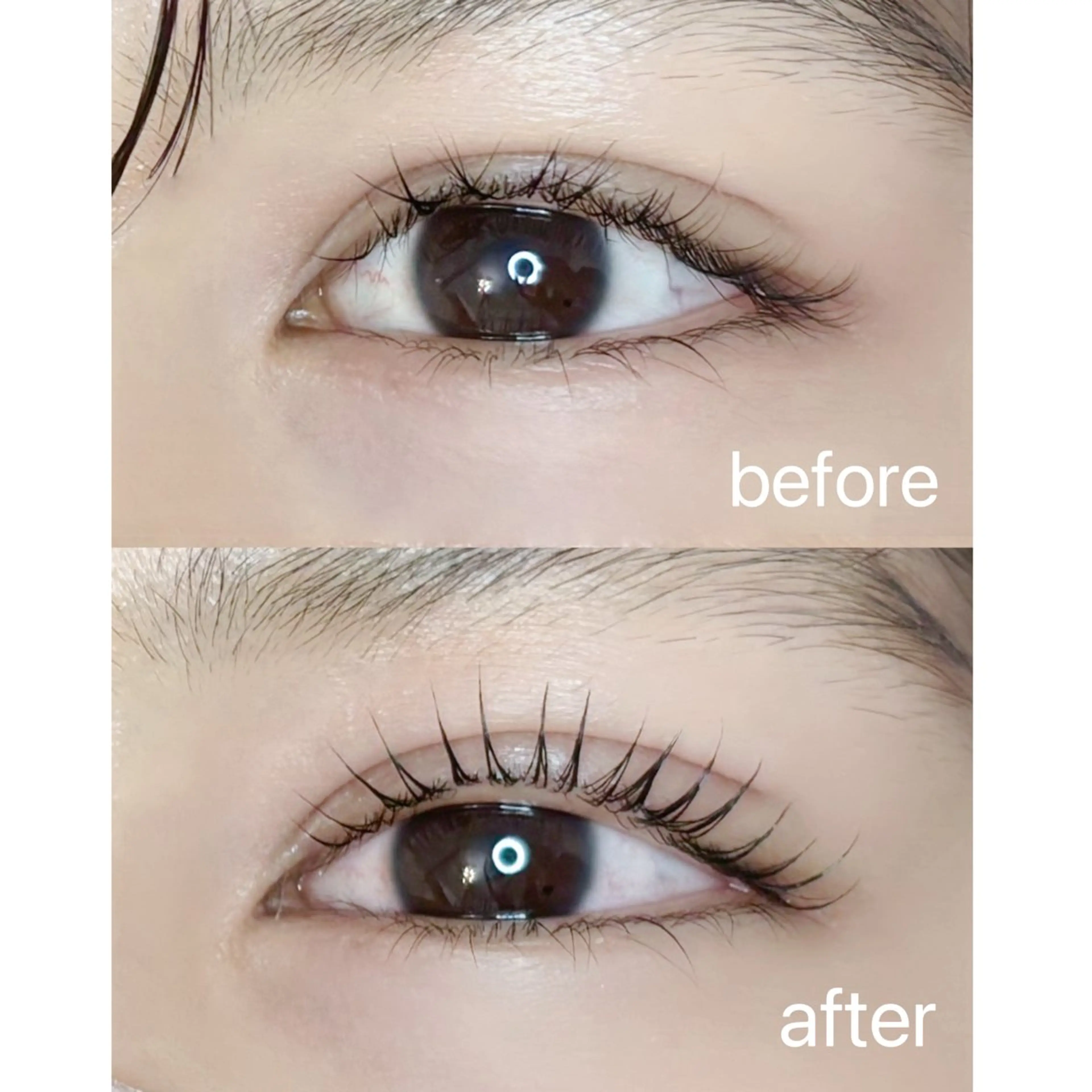 マツエク・マツパ パリジェンヌラッシュリフト 一重×まつ毛パーマ ELLA 松尾のマツエク・マツパデザイン