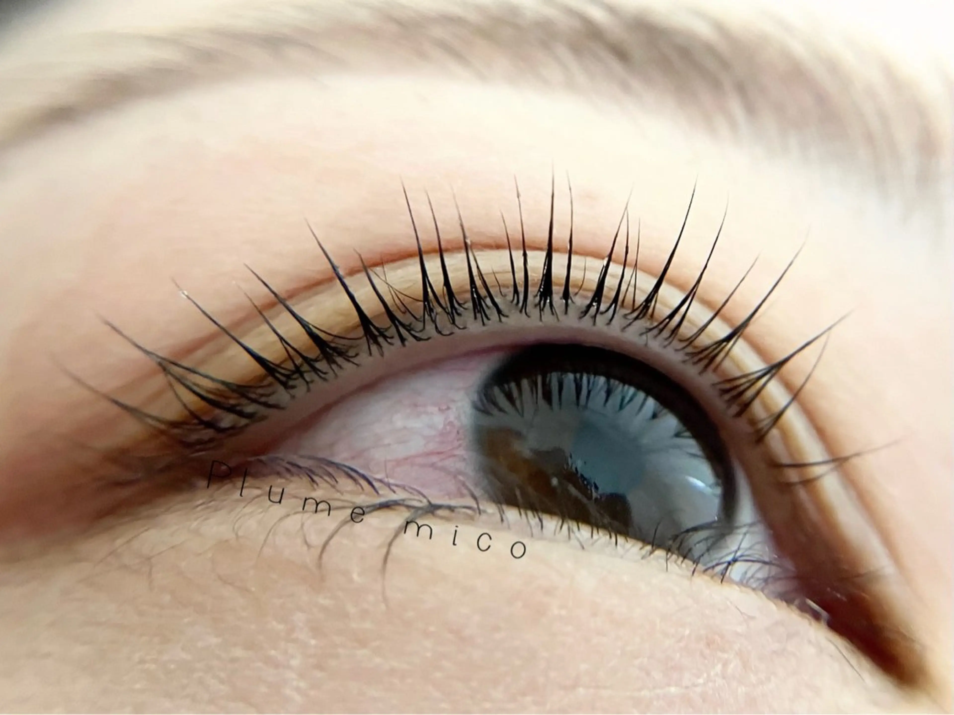 マツエク・マツパ マツパ Plume micoのマツエク・マツパデザイン