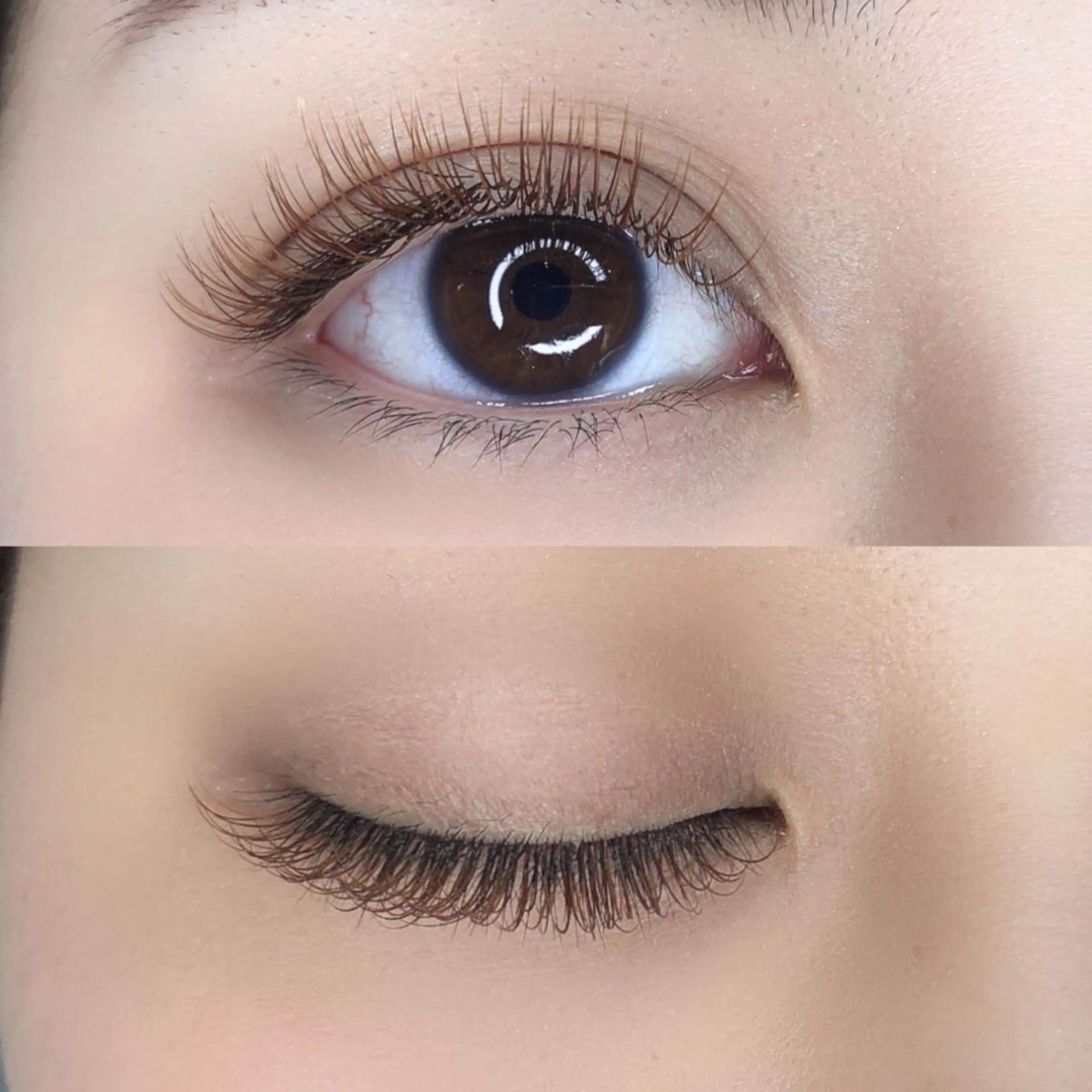 マツエク・マツパ カラーマツエク brow art 上野 / 吉橋のマツエク・マツパデザイン