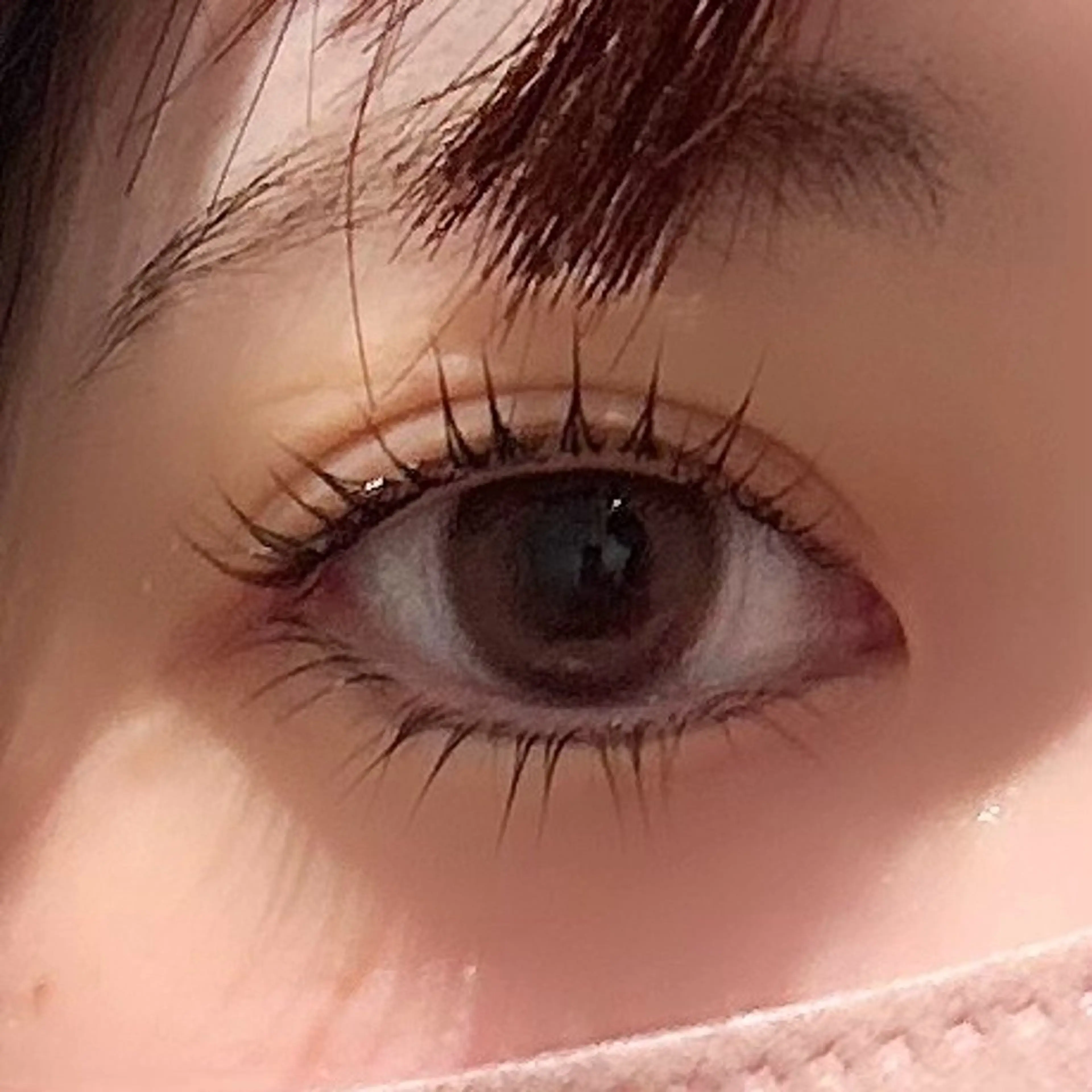 パリジェンヌラッシュリフト🪽上下パーマ🪽⚠️練習モデル⚠️の写真