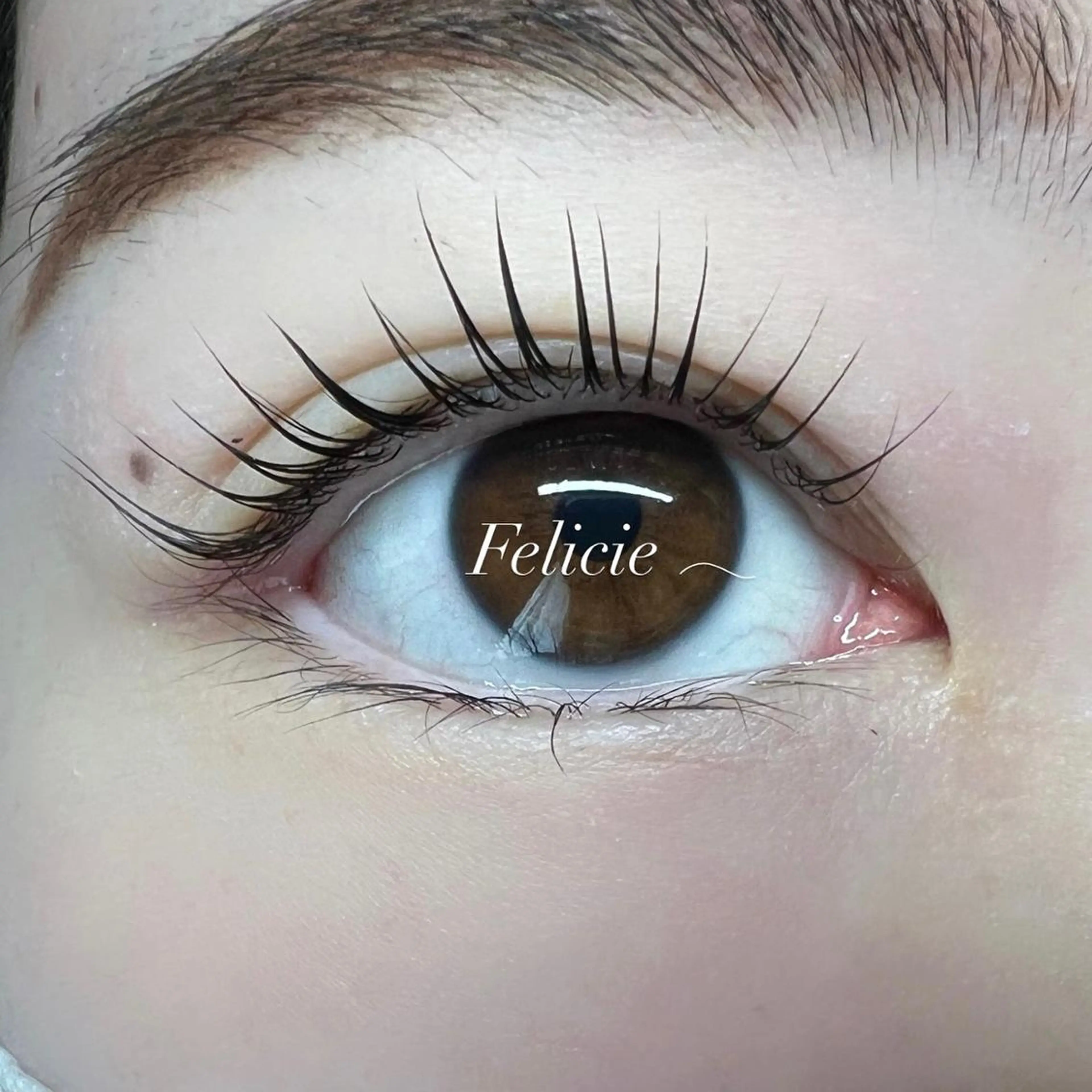 マツエク・マツパ パリジェンヌラッシュリフト マツパ Felicie＊ Sayakaのマツエク・マツパデザイン