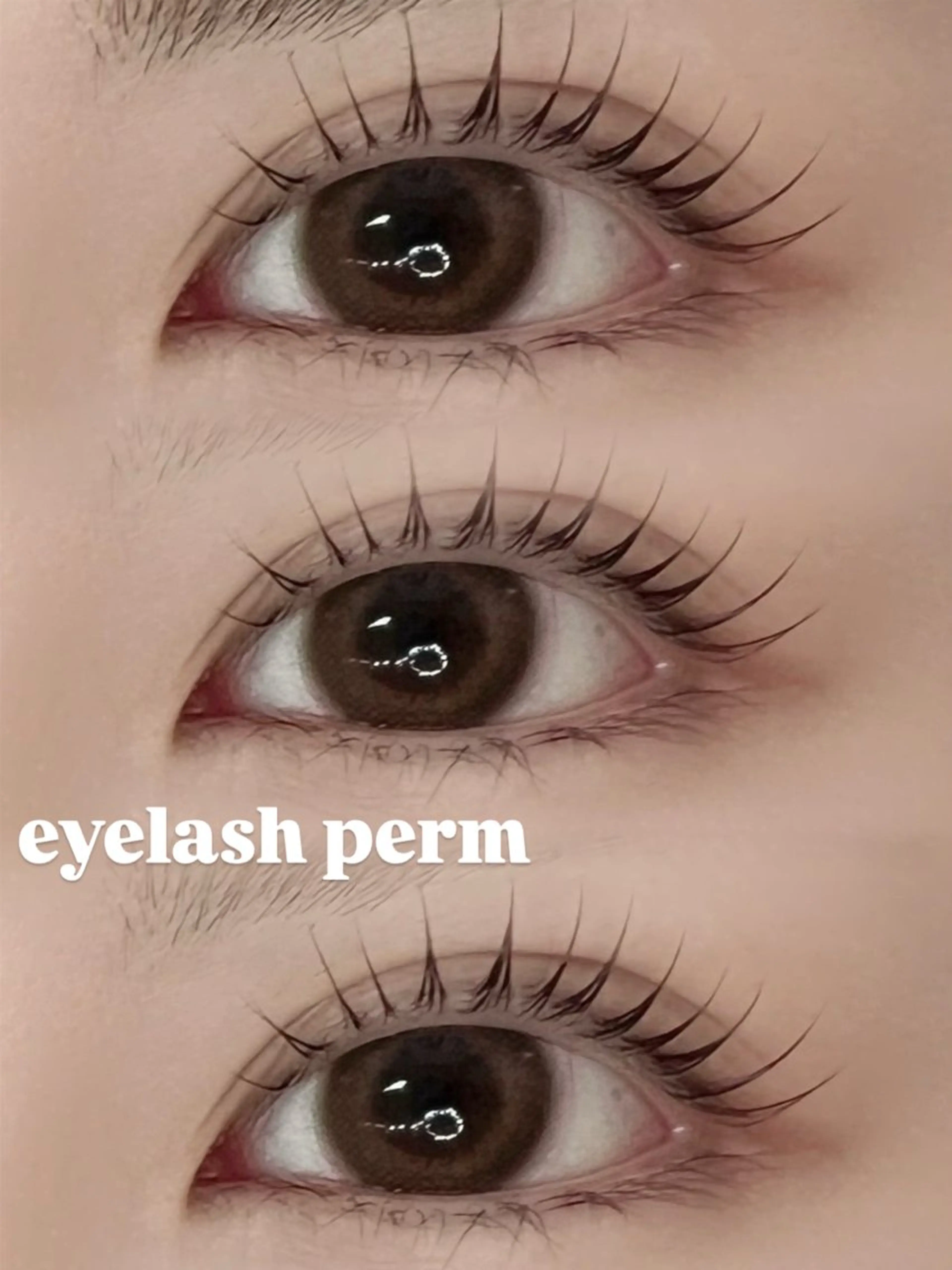 マツエク・マツパ まつげパーマ 💞ふんわり束感まつ 毛＆美眉🩰ミク💞のマツエク・マツパデザイン