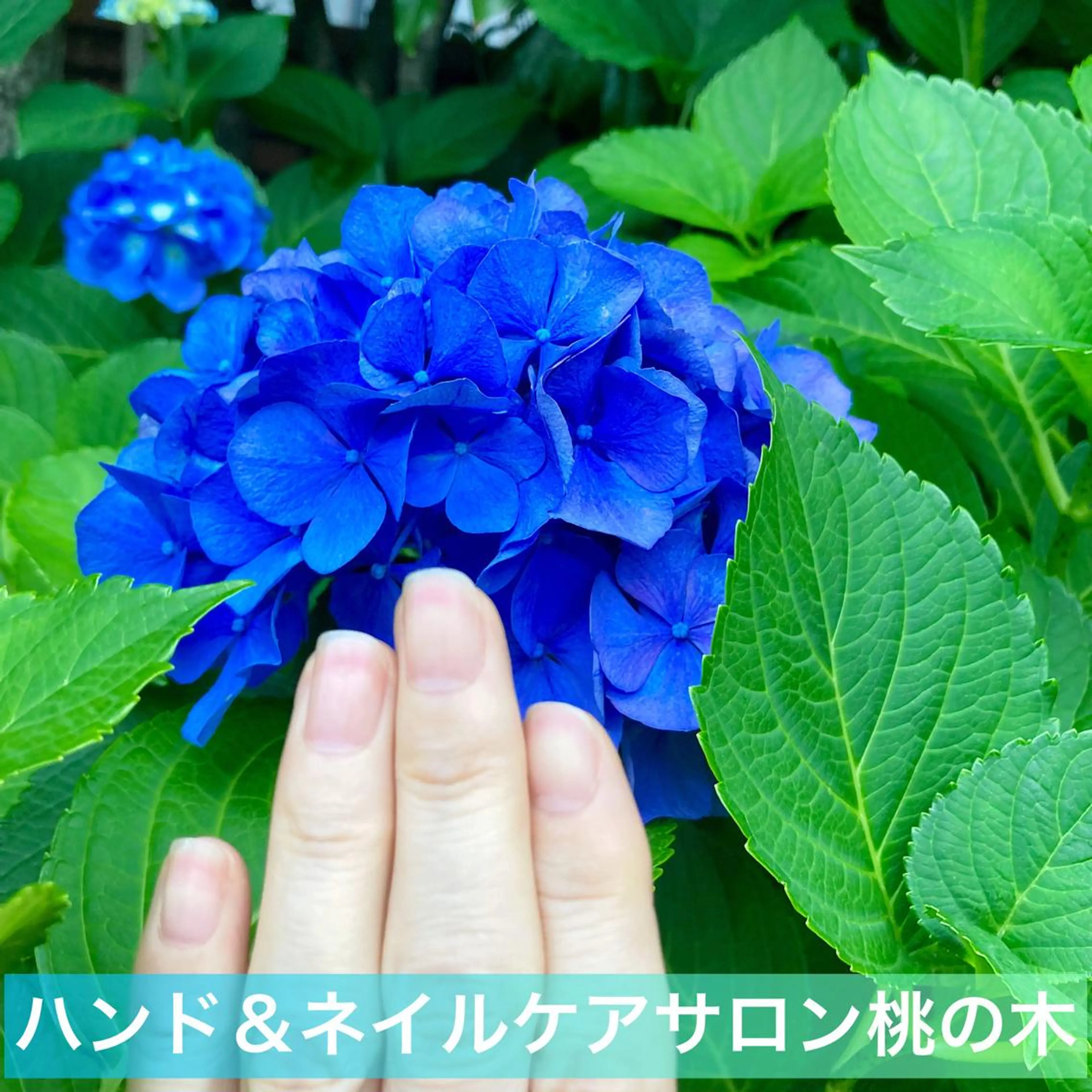 メンズ ネイル ハンドケア＆ネイルケア桃の木所属・ケアリスト🍀 マリユキのその他イメージ