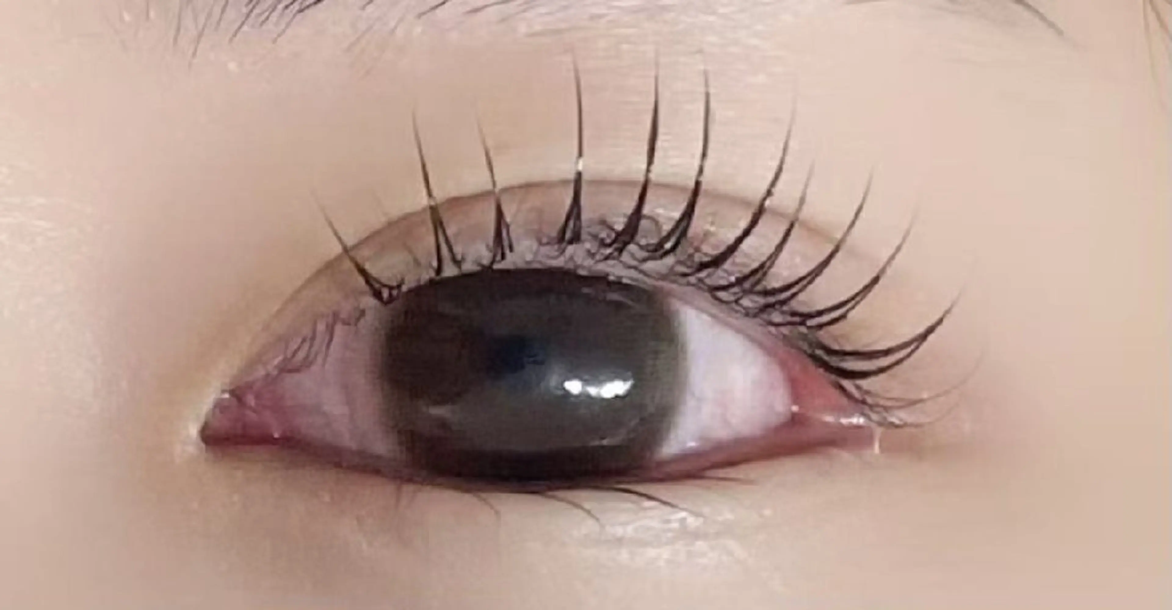 マツエク・マツパ アレグレス所属・アレグレス@池袋 🌹大人気店🌹のマツエク・マツパデザイン