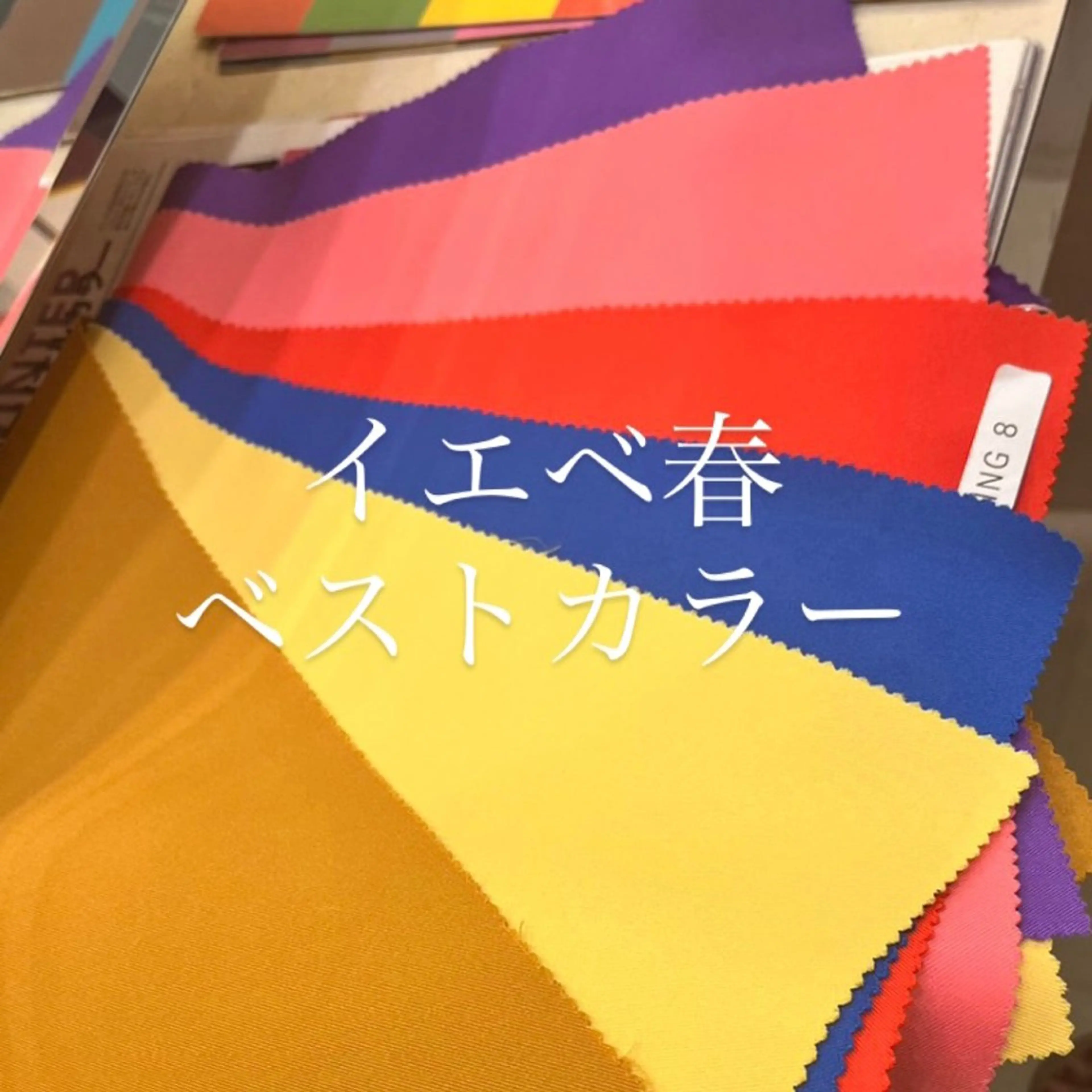 パーソナルカラー診断 骨格診断 垢抜けhair / 似合わせ診断🌞スズのその他イメージ