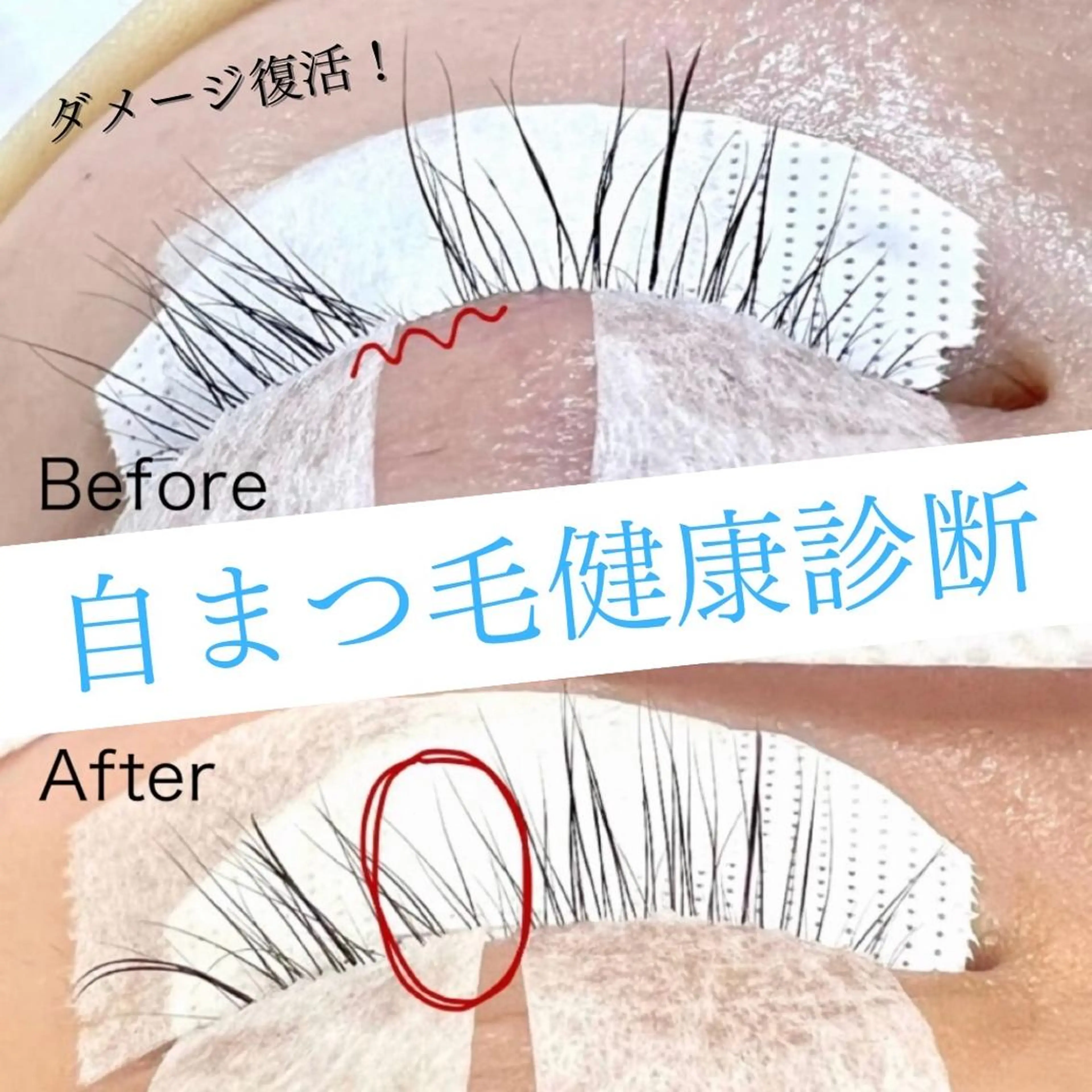 マツエク・マツパ フラットラッシュ Lesherima 【amiri】の眉毛・アイブロウイメージ