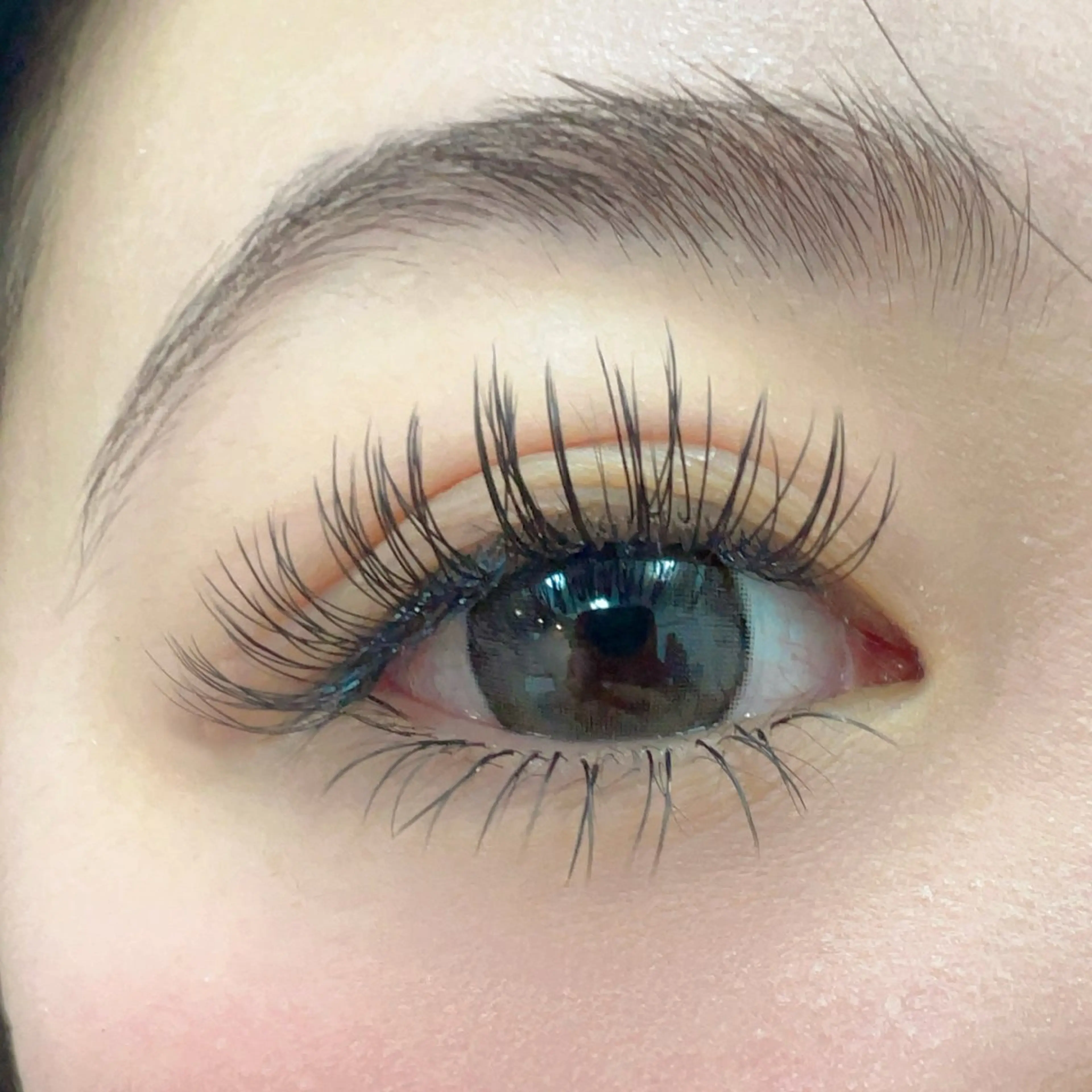 🌻フラットラッシュ🌻160本の写真