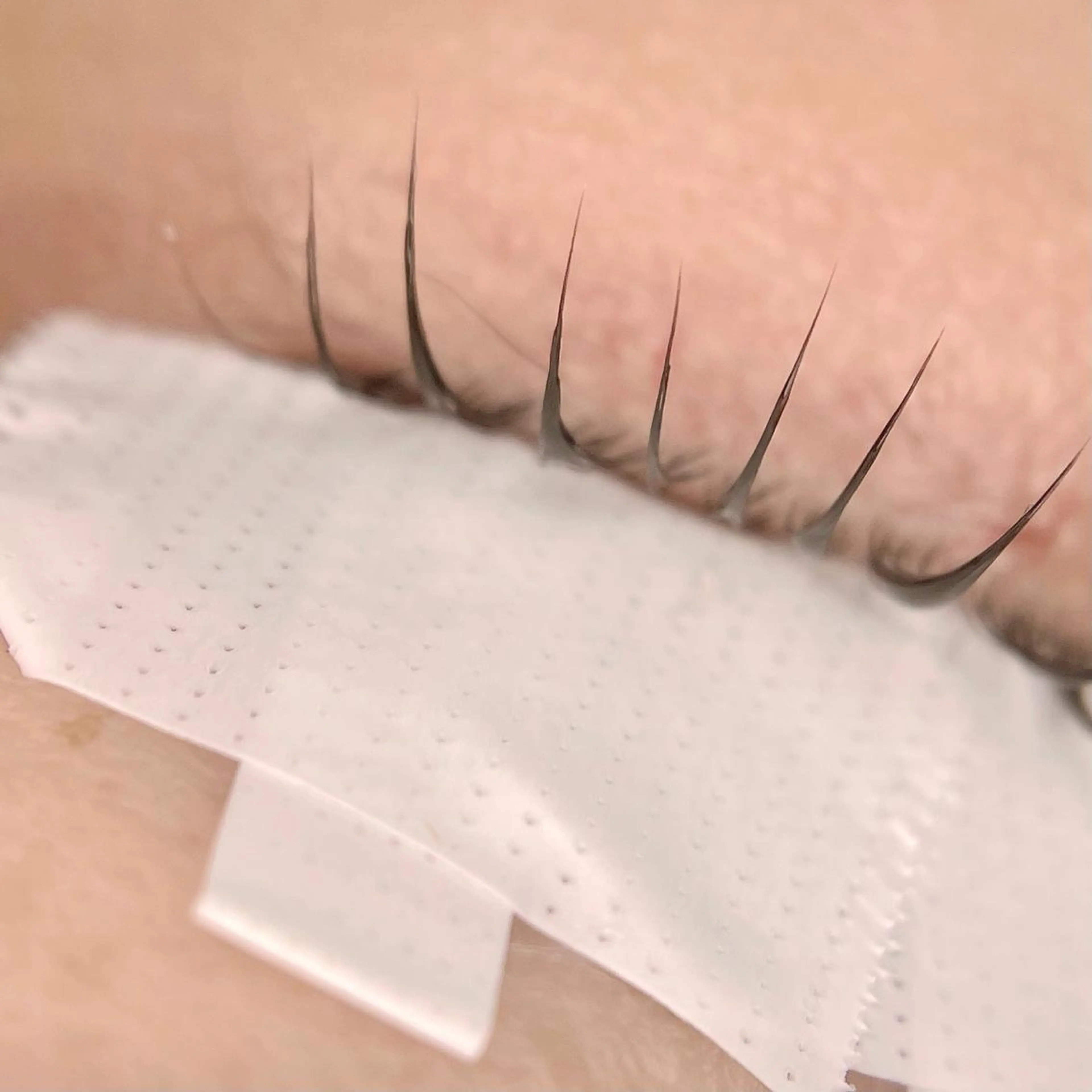 マツエク・マツパ eyelash salon'h所属・松本 光のマツエク・マツパデザイン