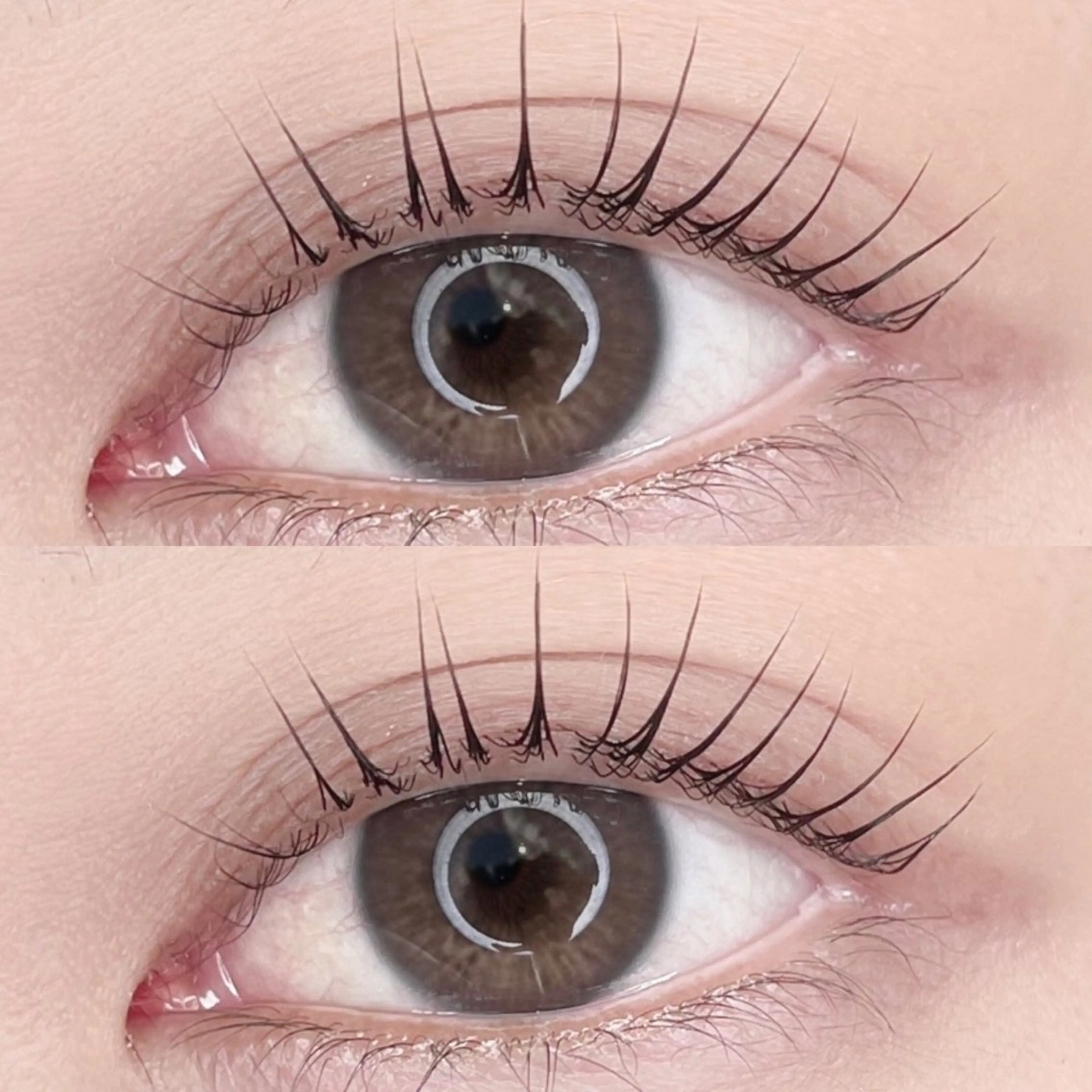 マツエク・マツパ Eyelash Salon Blanc～まつげエクステと眉の専門美容室～ 舞浜 イクスピアリ店所属・🍓blanc 川野咲紀🍓のマツエク・マツパデザイン
