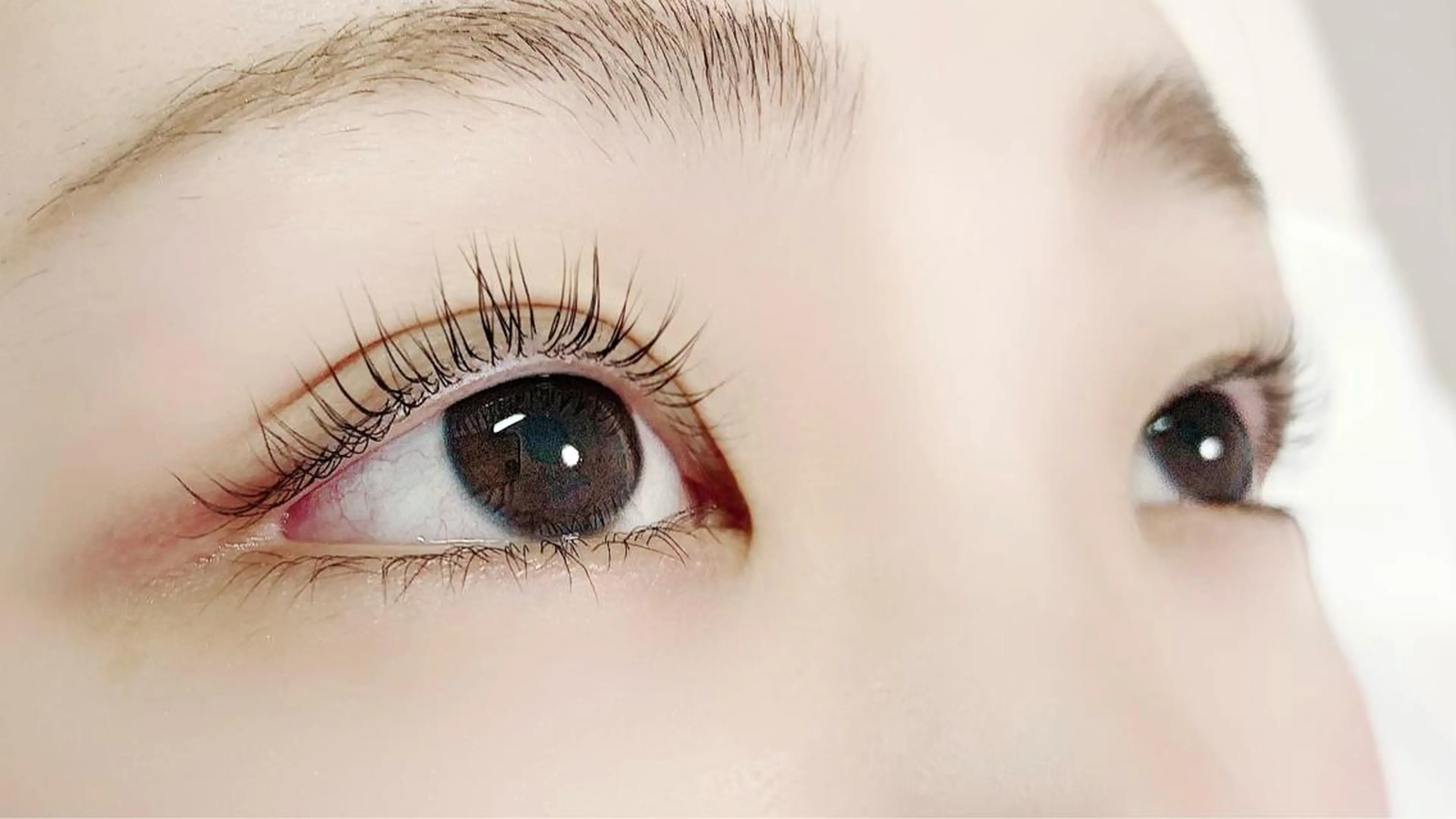 マツエク・マツパ マツパ eyelash Graciaのマツエク・マツパデザイン