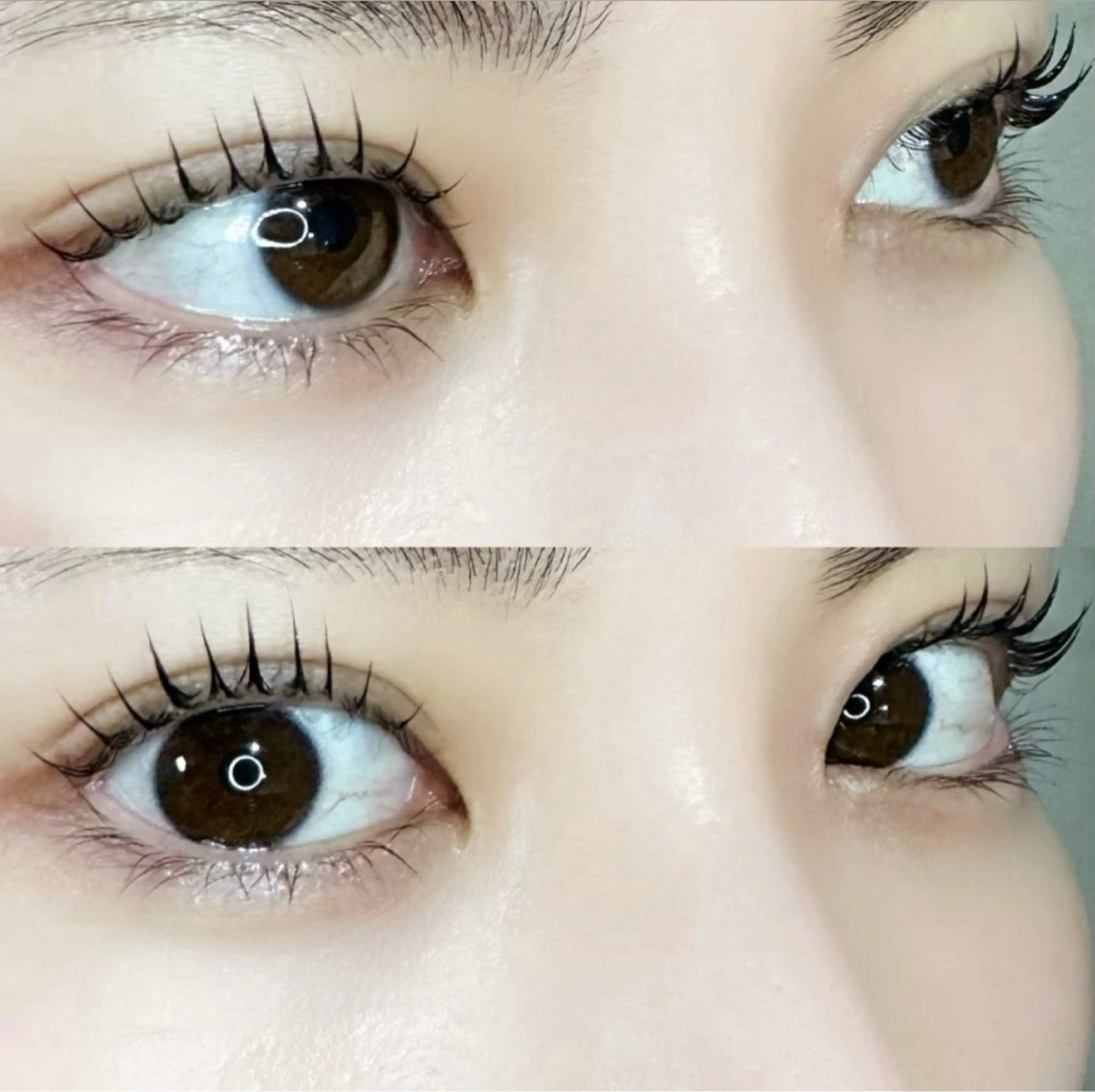 マツエク・マツパ 🦖fein. YUINA🦕⋆͛のマツエク・マツパデザイン