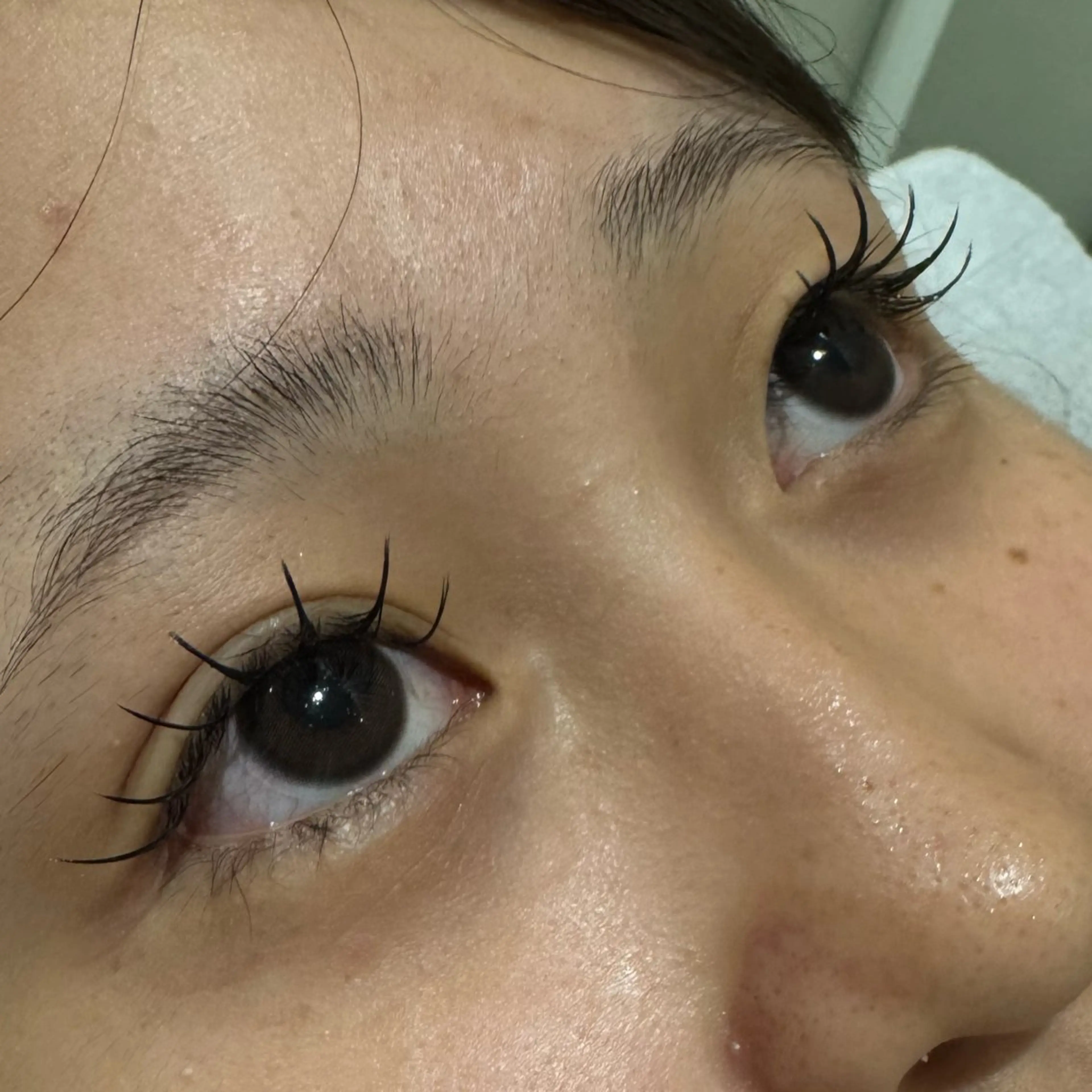 10月限定🤍𐙚まつげエクステ 100本(オフ込み)の写真