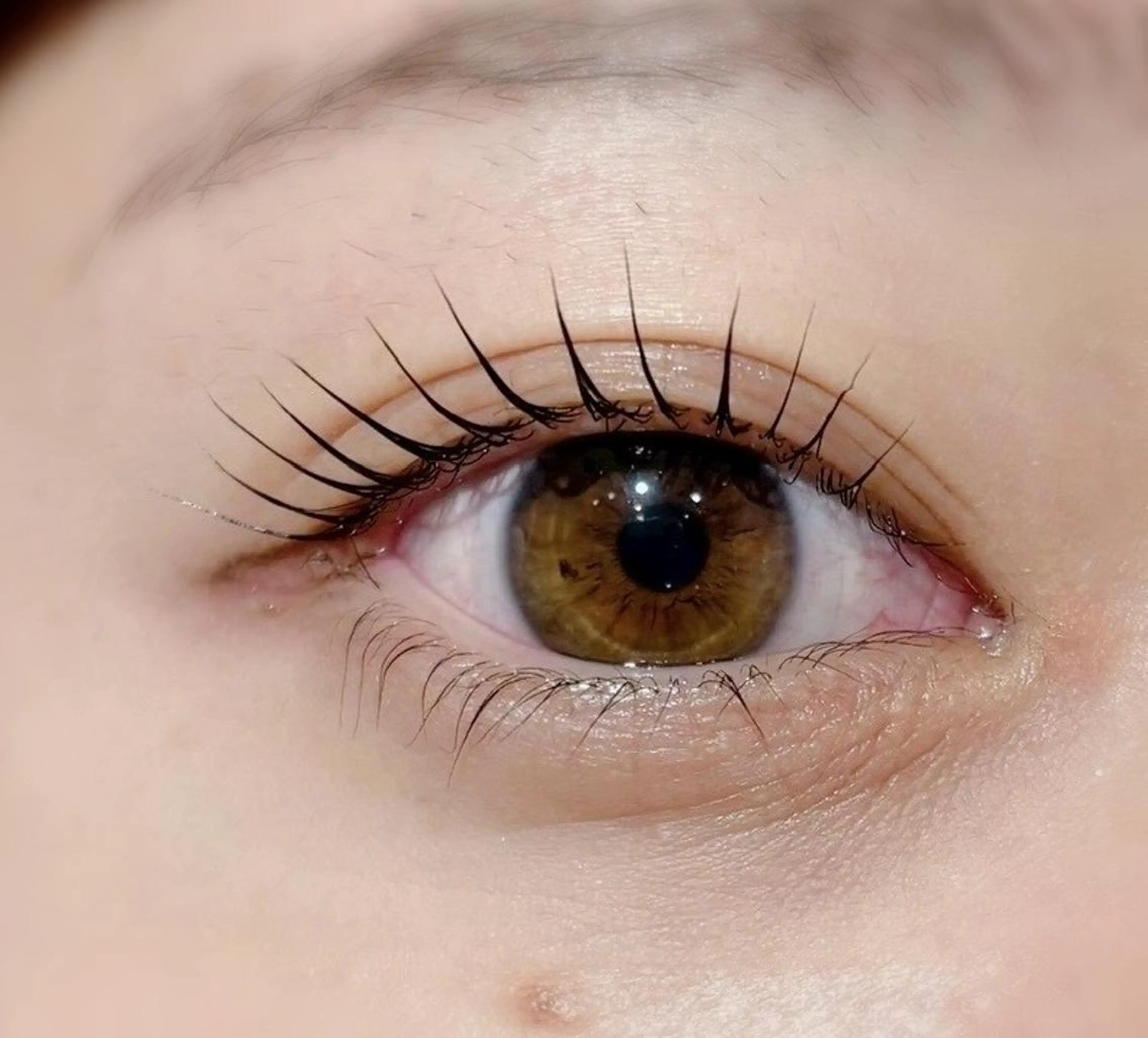 マツエク・マツパ バインドロック フラットラッシュ パリジェンヌラッシュリフト まつげパーマ マツパ Biolus／天王寺 本店 🔸YUI🔸のマツエク・マツパデザイン