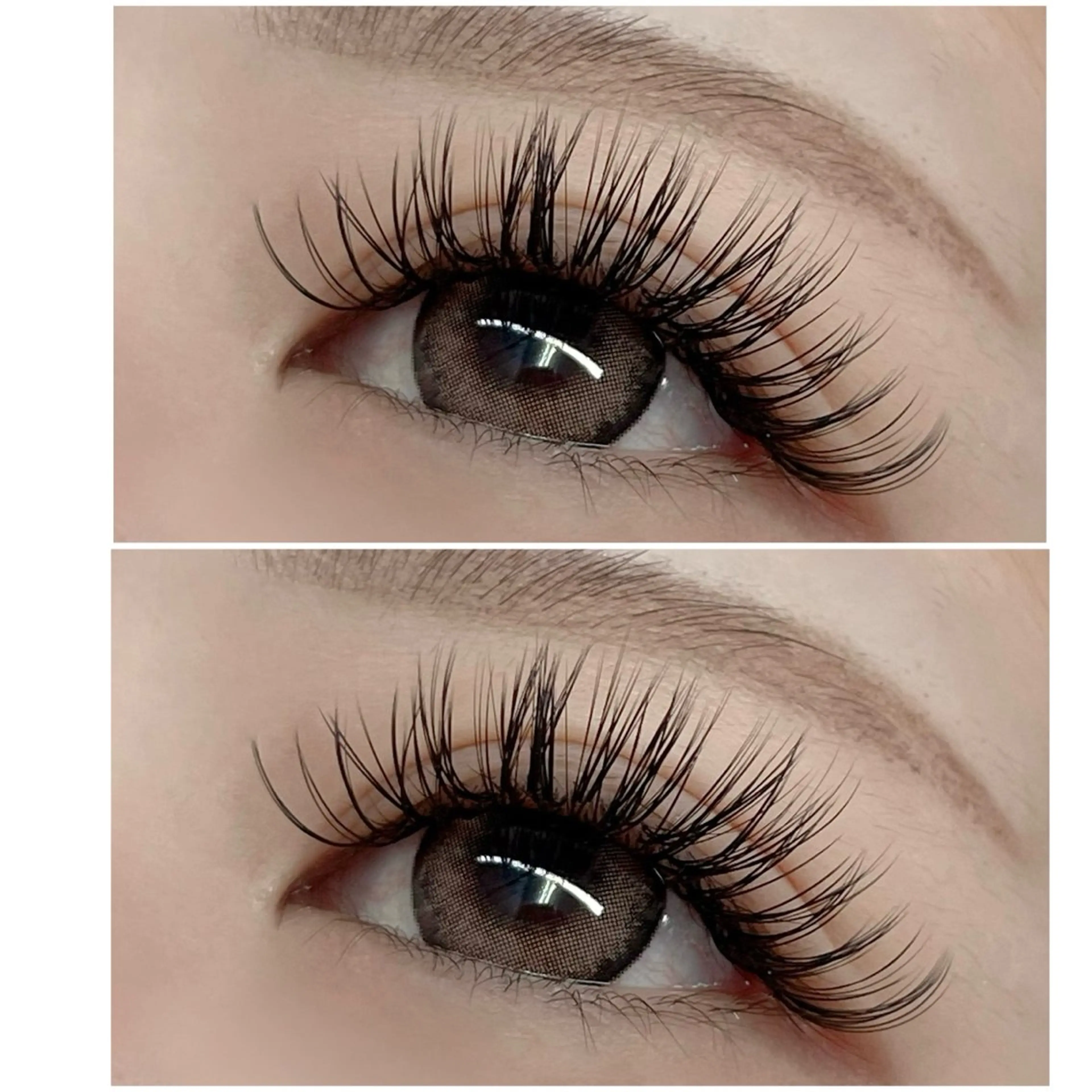 ⭐️LED バインドロック 120束⭐️ コーティングの写真