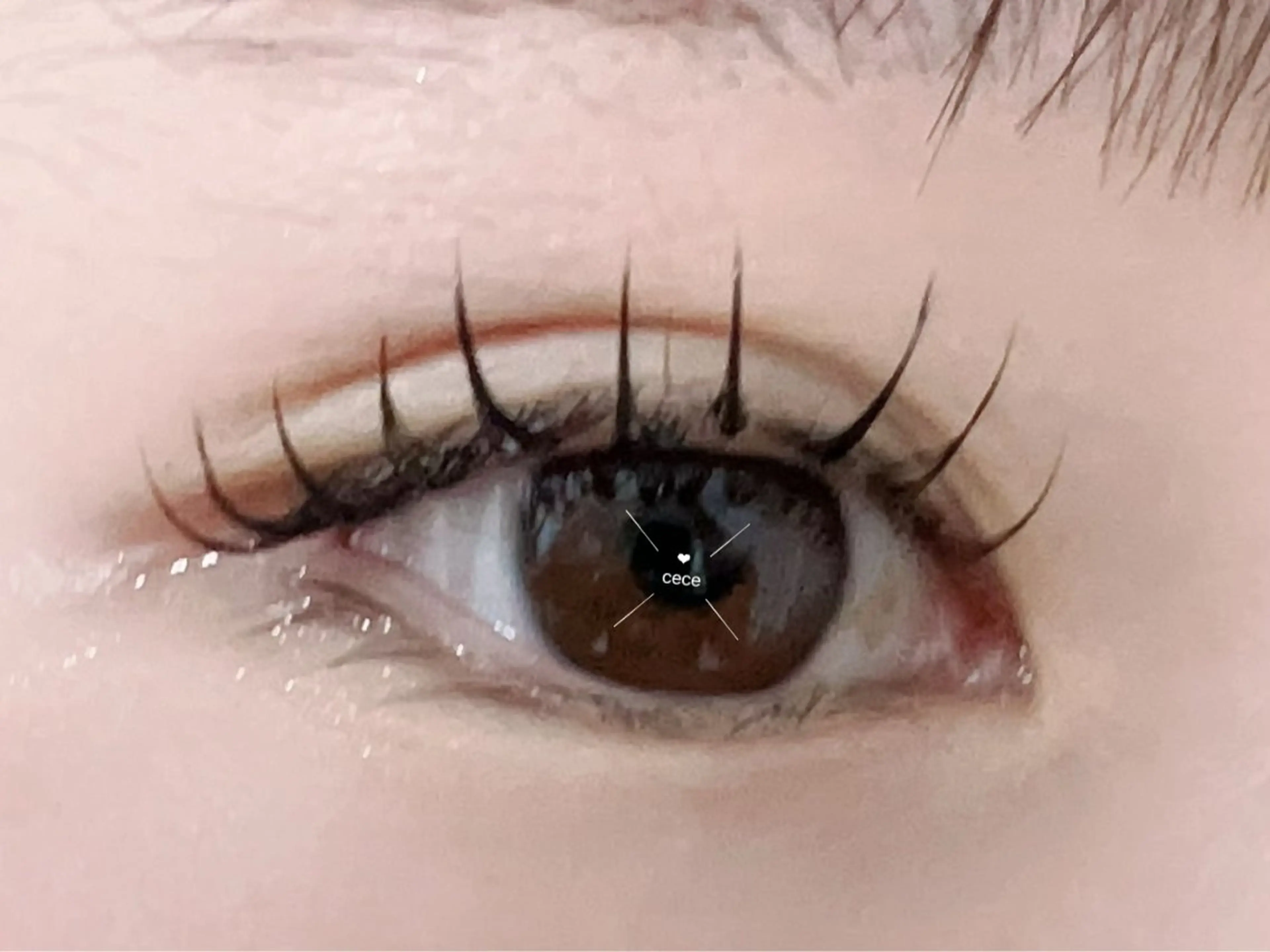 マツエク・マツパ マツエク CeCe Nail&eyelash salon所属・人気店🌸Ce Ce マツエク＆ネイルのマツエク・マツパデザイン