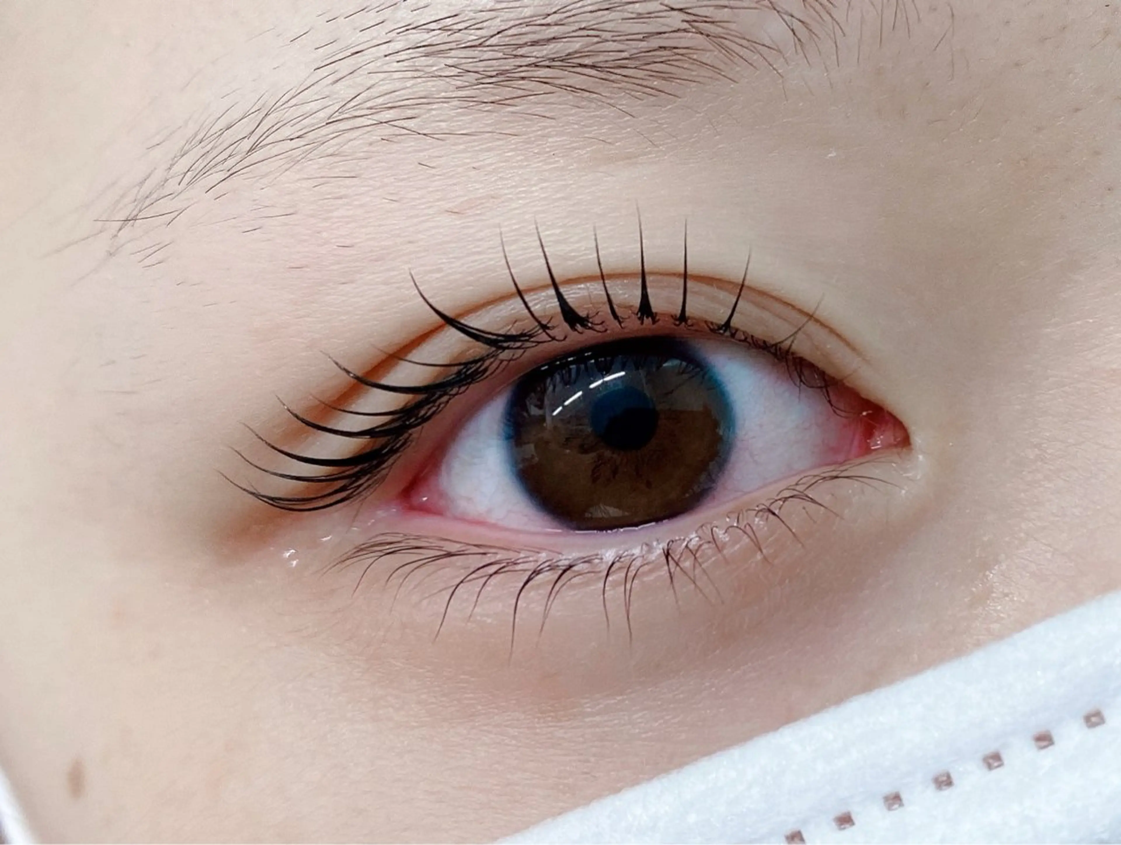マツエク・マツパ マツパ Eye Salon RiRe新小岩店所属・まつ毛パーマ専門& men's眉⭐︎aiの眉毛・アイブロウイメージ