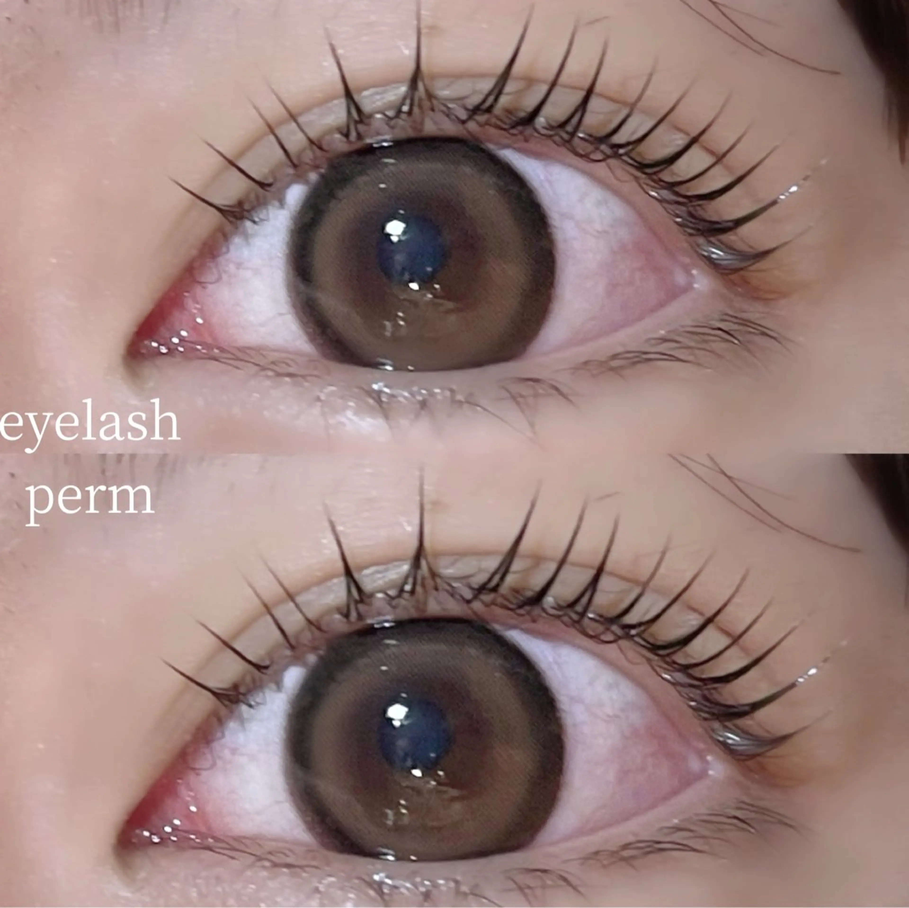 マツエク・マツパ Mon mignon ෆ‪momokaのマツエク・マツパデザイン