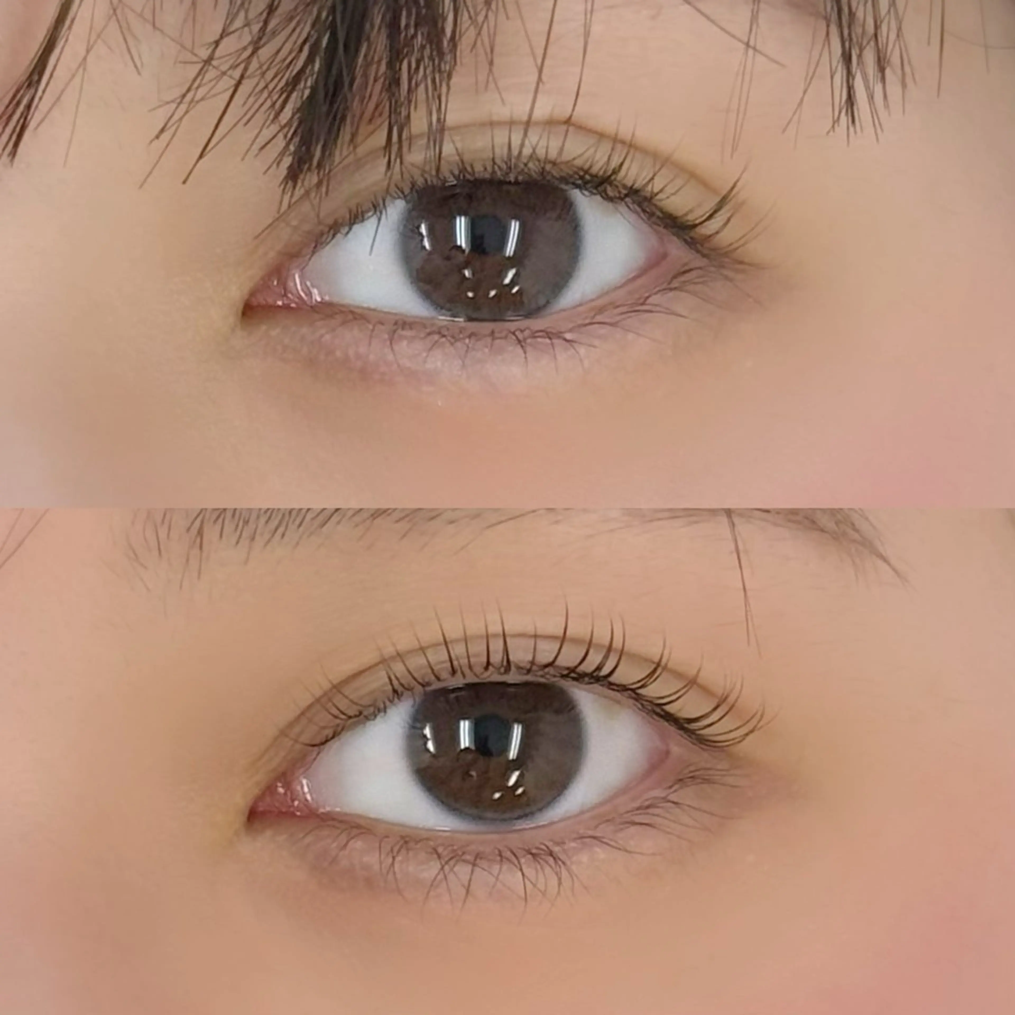 当日限定！まつ毛パーマ✨の写真