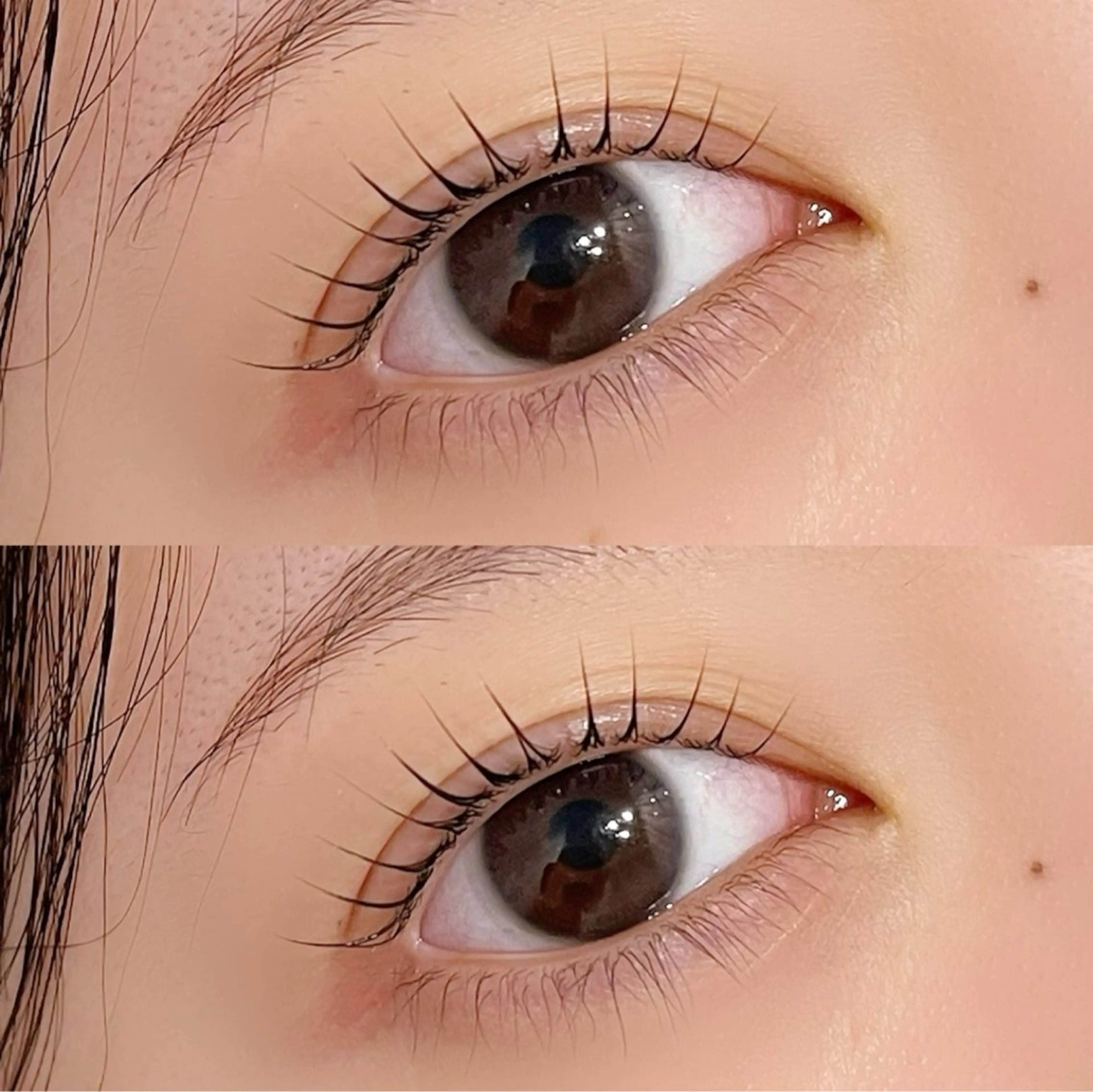 マツエク・マツパ マツパ Lumina Fuyumiのマツエク・マツパデザイン