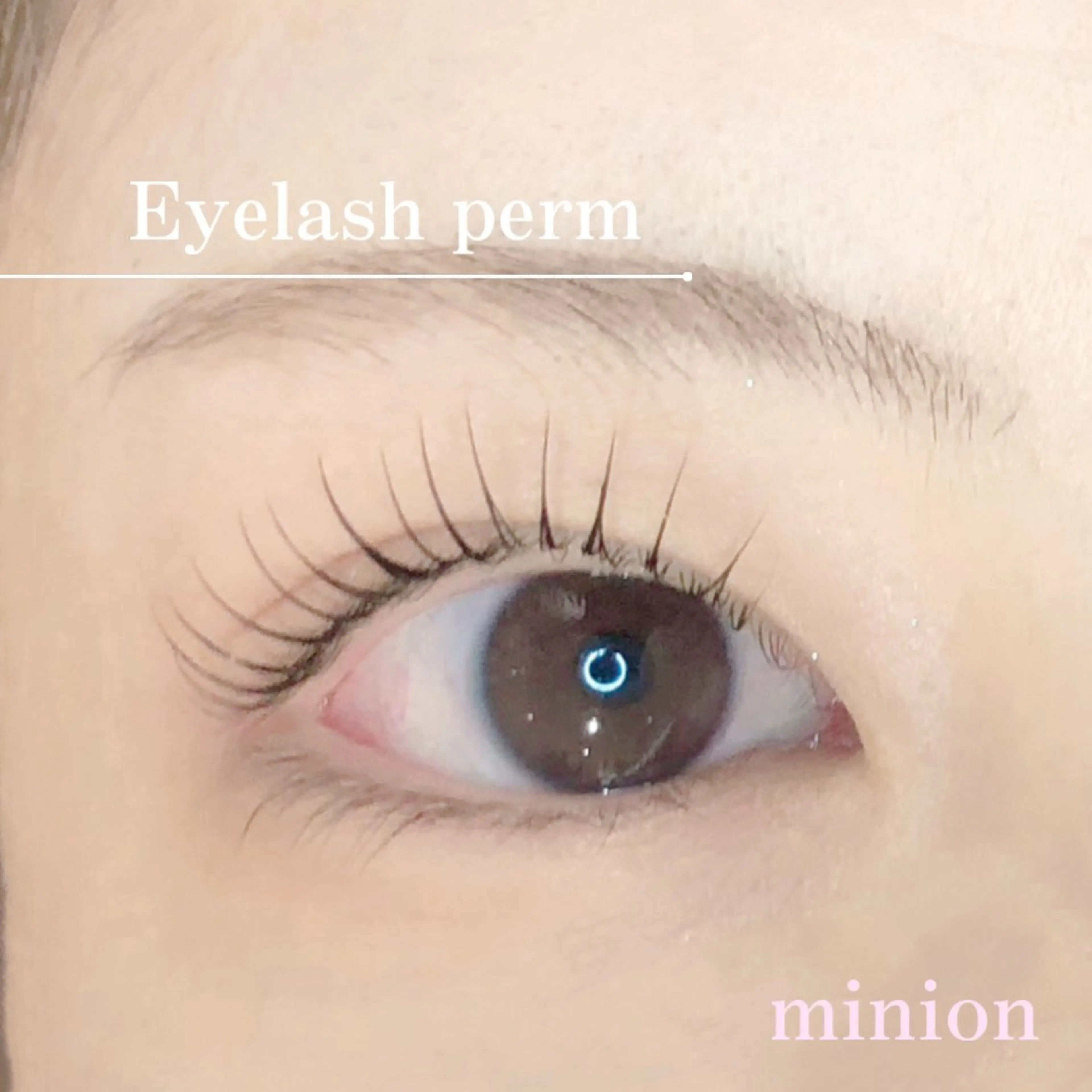 平日限定！まつげパーマ🎀の写真