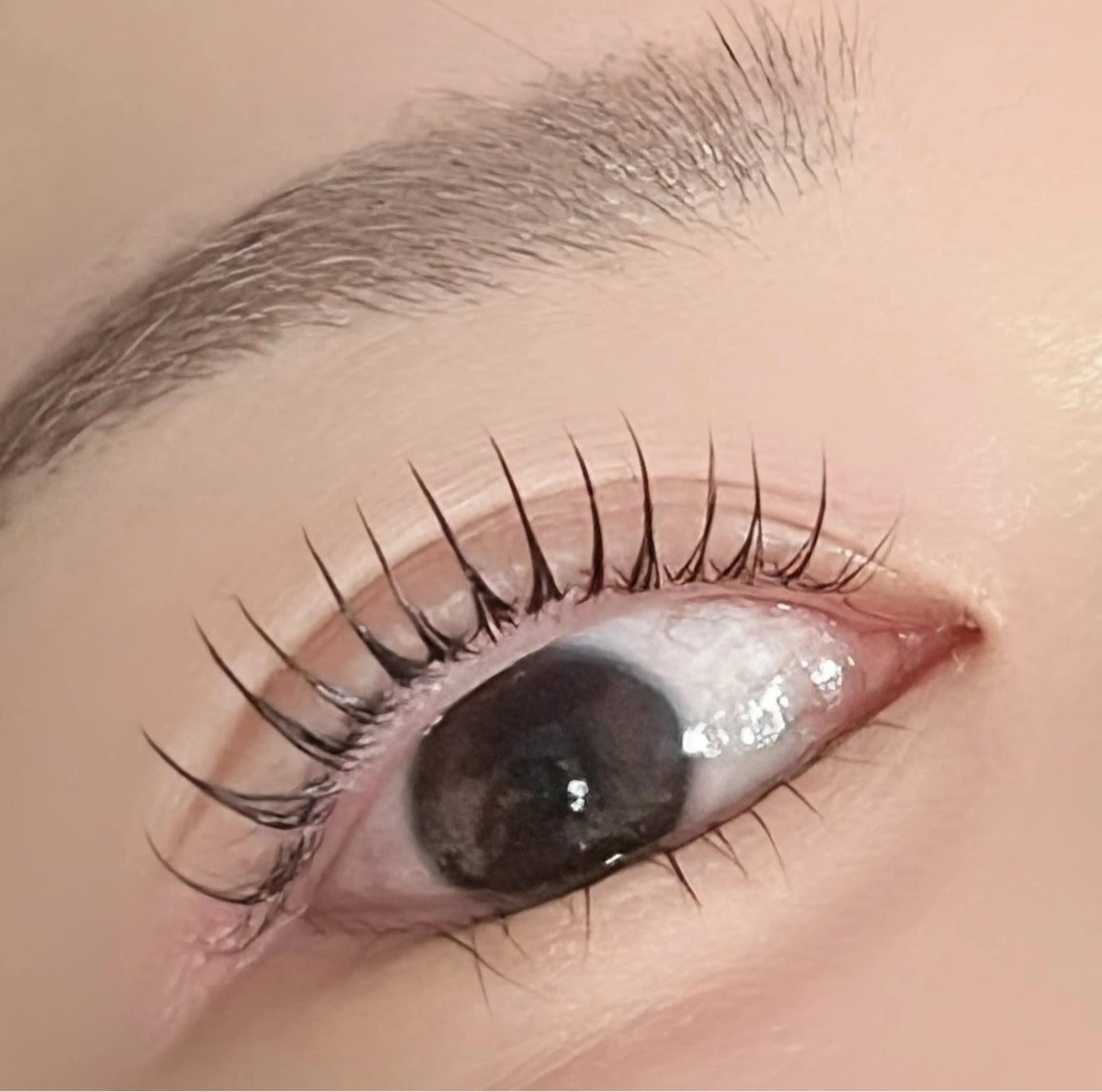 【まつ毛パーマ★立ち上げ×Cカール】ミミドールの写真