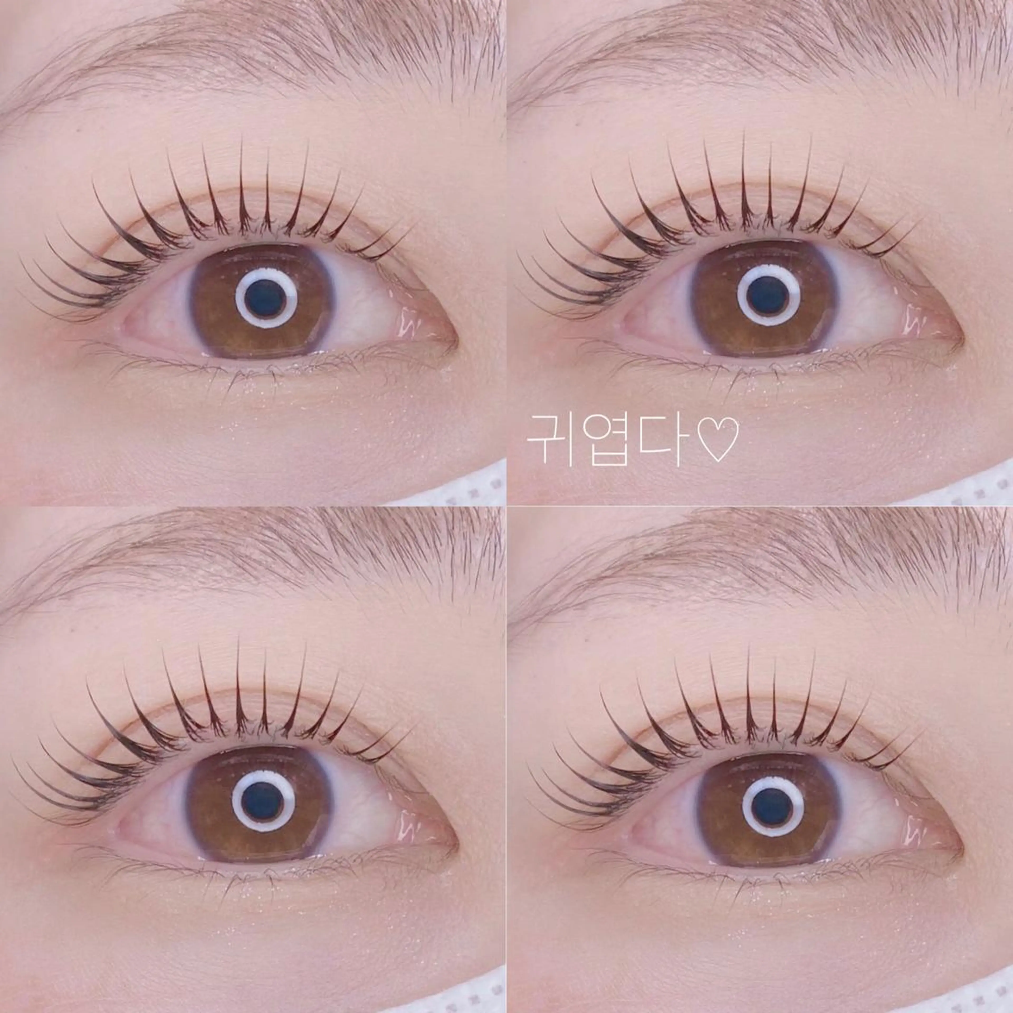 マツエク・マツパ Nancy所属・束感まつげ❤︎ あみのマツエク・マツパデザイン