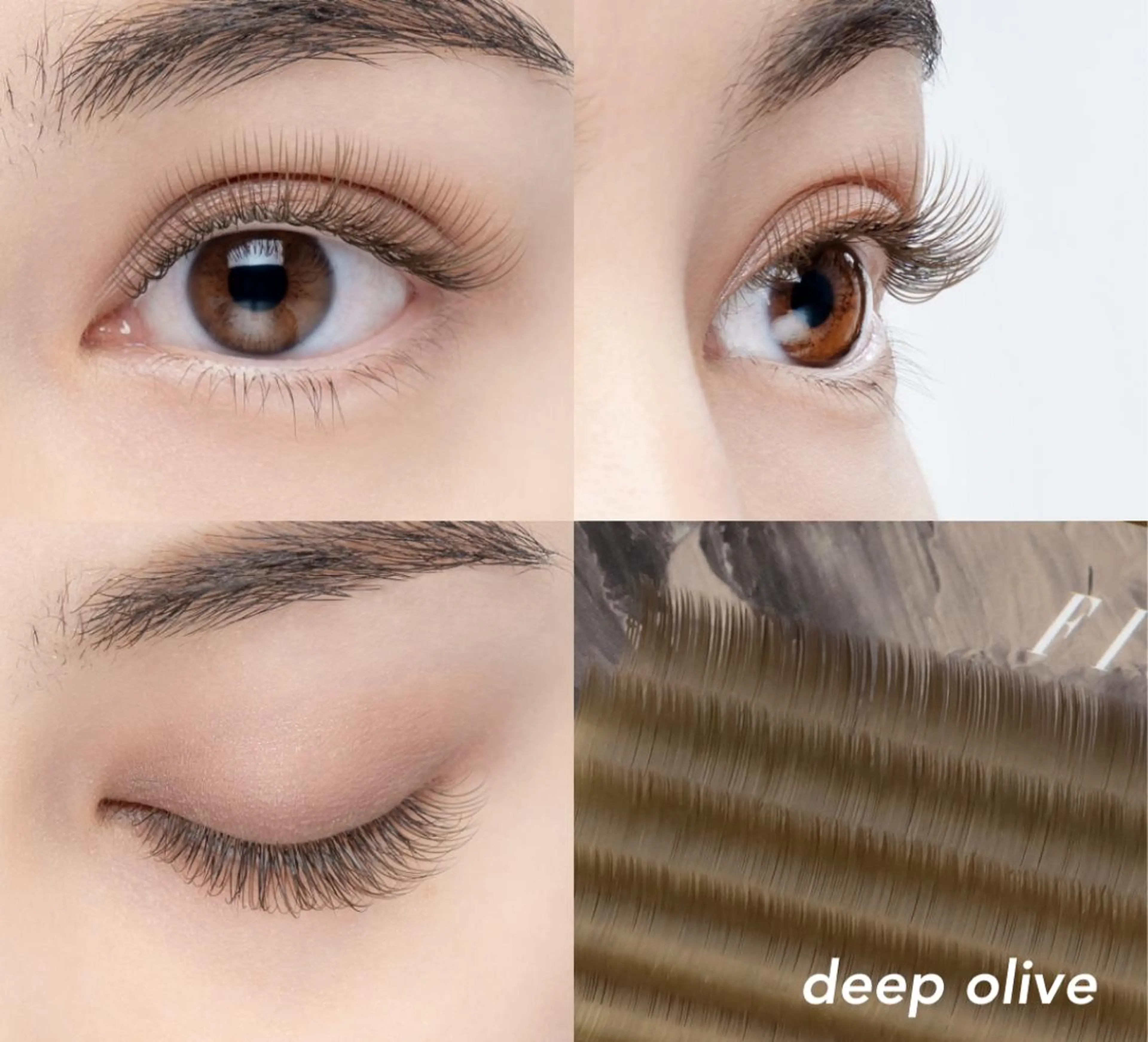 ãããšã¯ã»ããã sola: neoliveçç°ã®ãããšã¯ã»ããããã¶ã€ã³