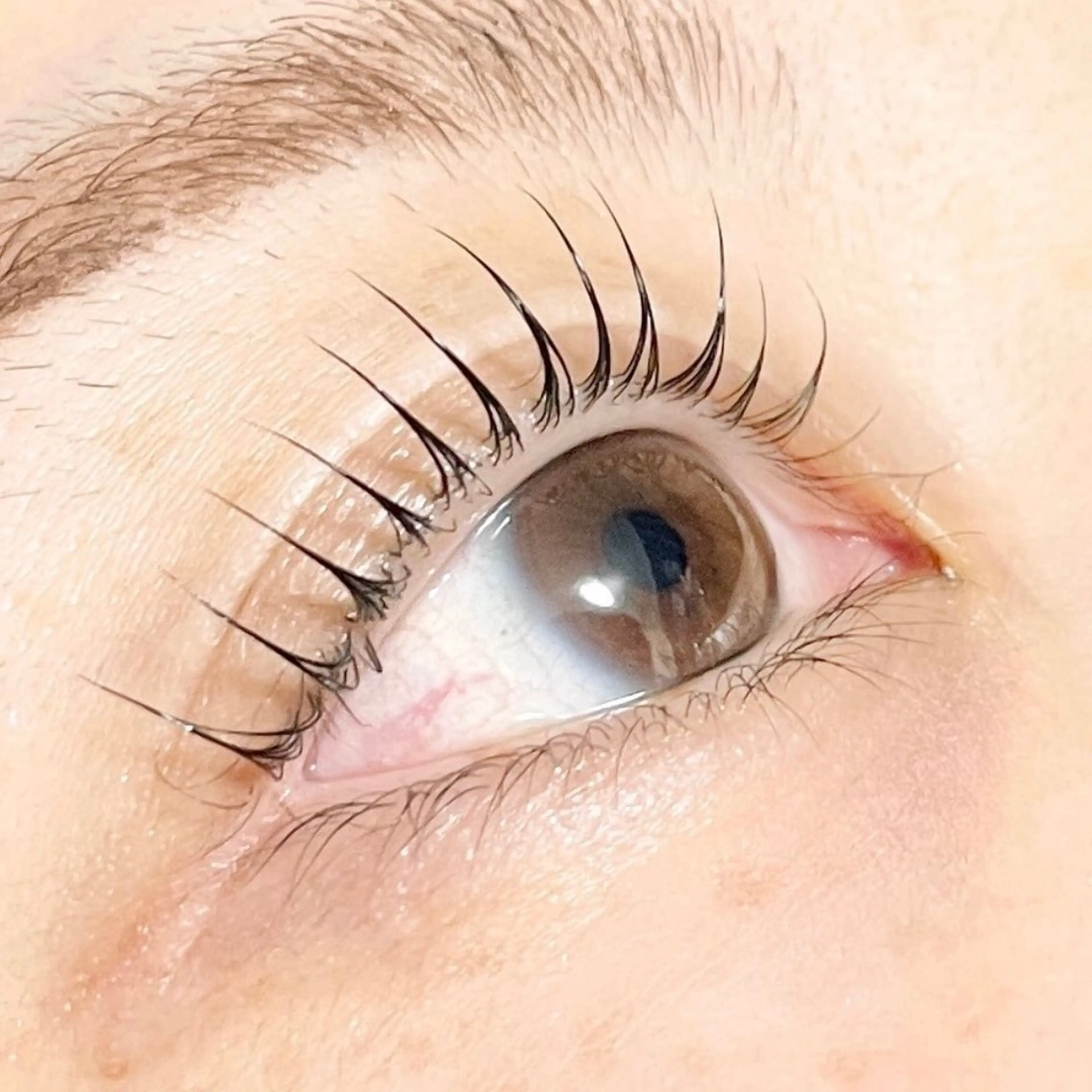 マツエク・マツパ TAKEO🖤 マリーテレジア藤が丘のマツエク・マツパデザイン