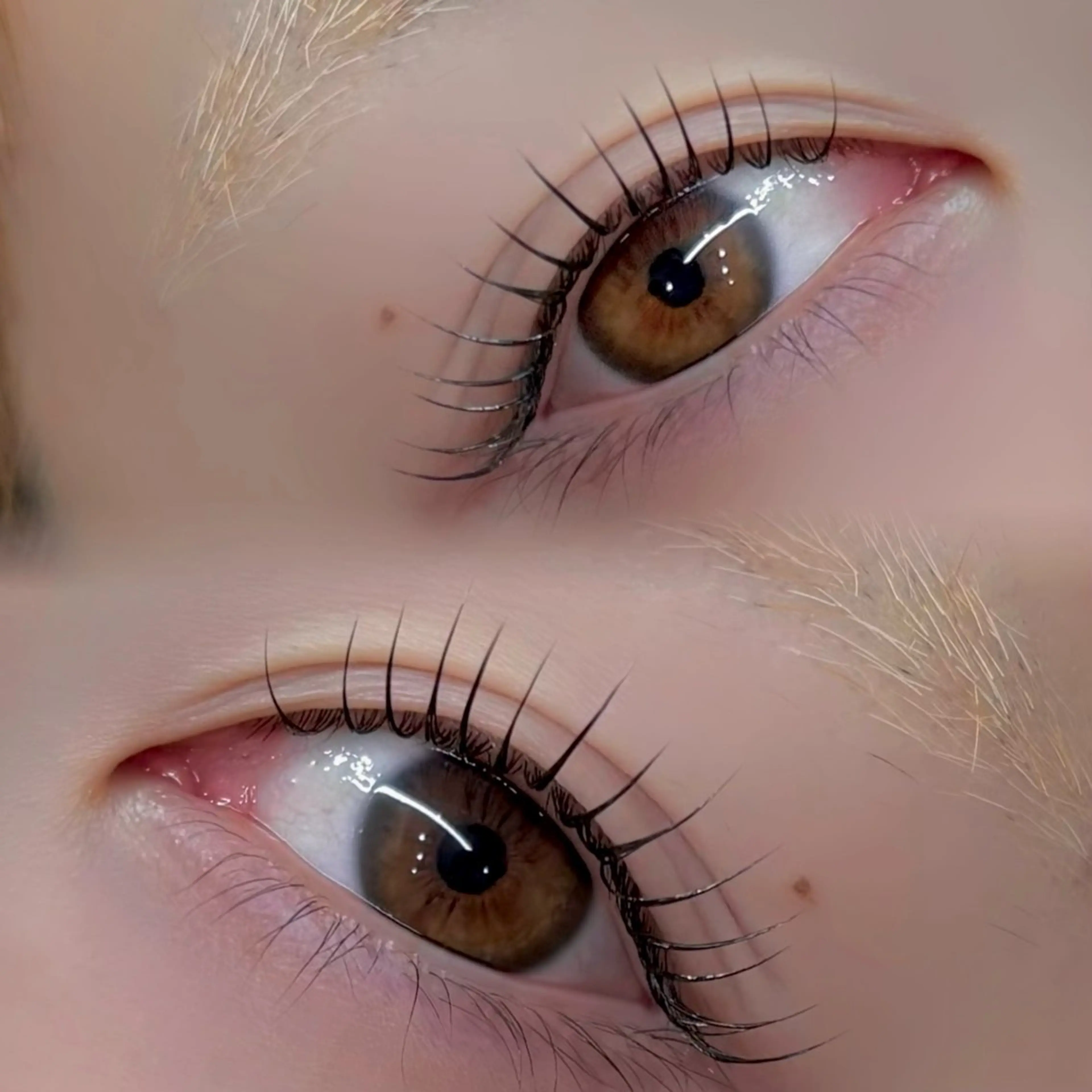 マツエク・マツパ マツパ BEMOA eyelash&eyebrow所属・BEMOA 新木 毬のマツエク・マツパデザイン