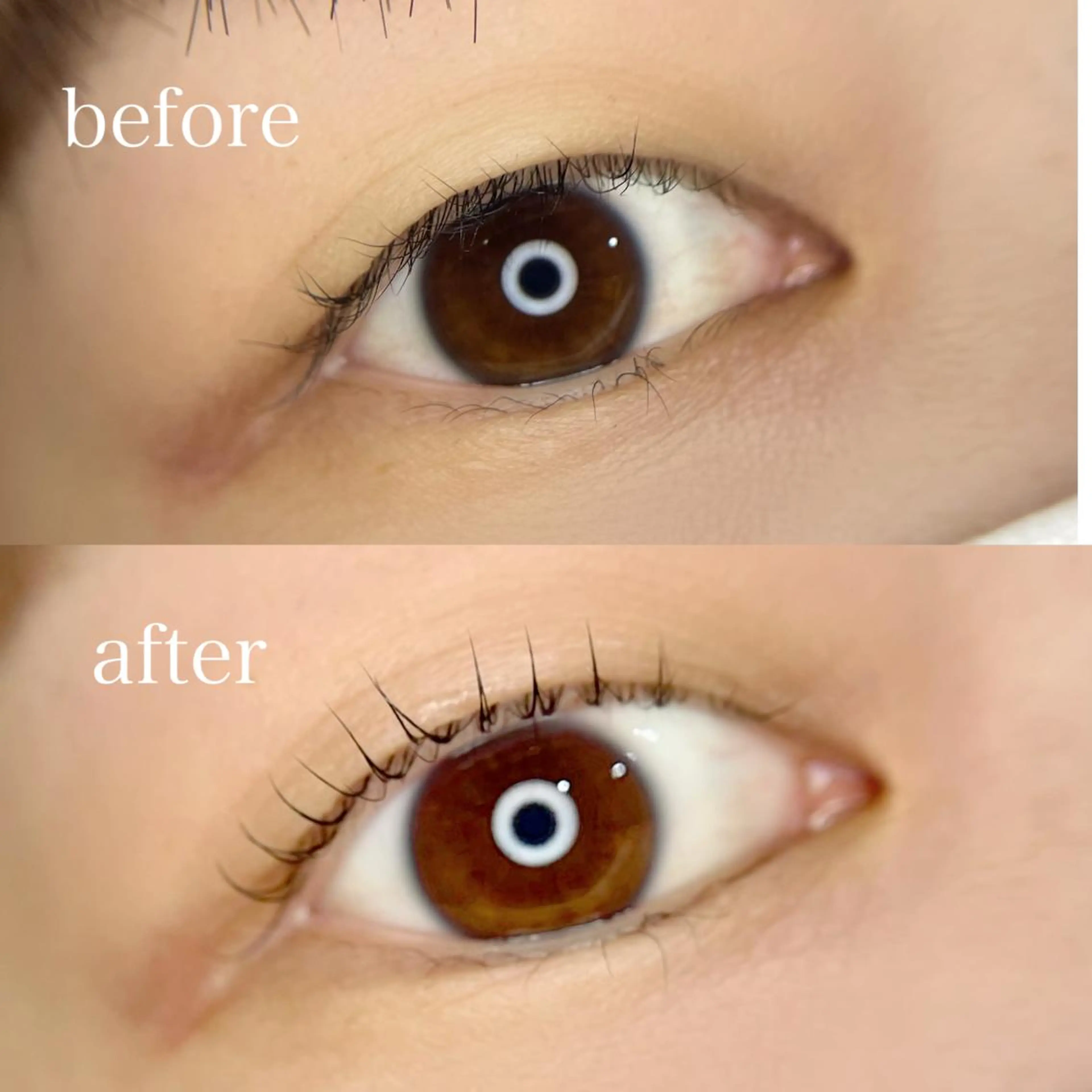 マツエク・マツパ Cカール 一重×まつ毛パーマ eyelash＆eyebrow salon　rimieux所属・畑 リナ　　上北沢のマツエク・マツパデザイン