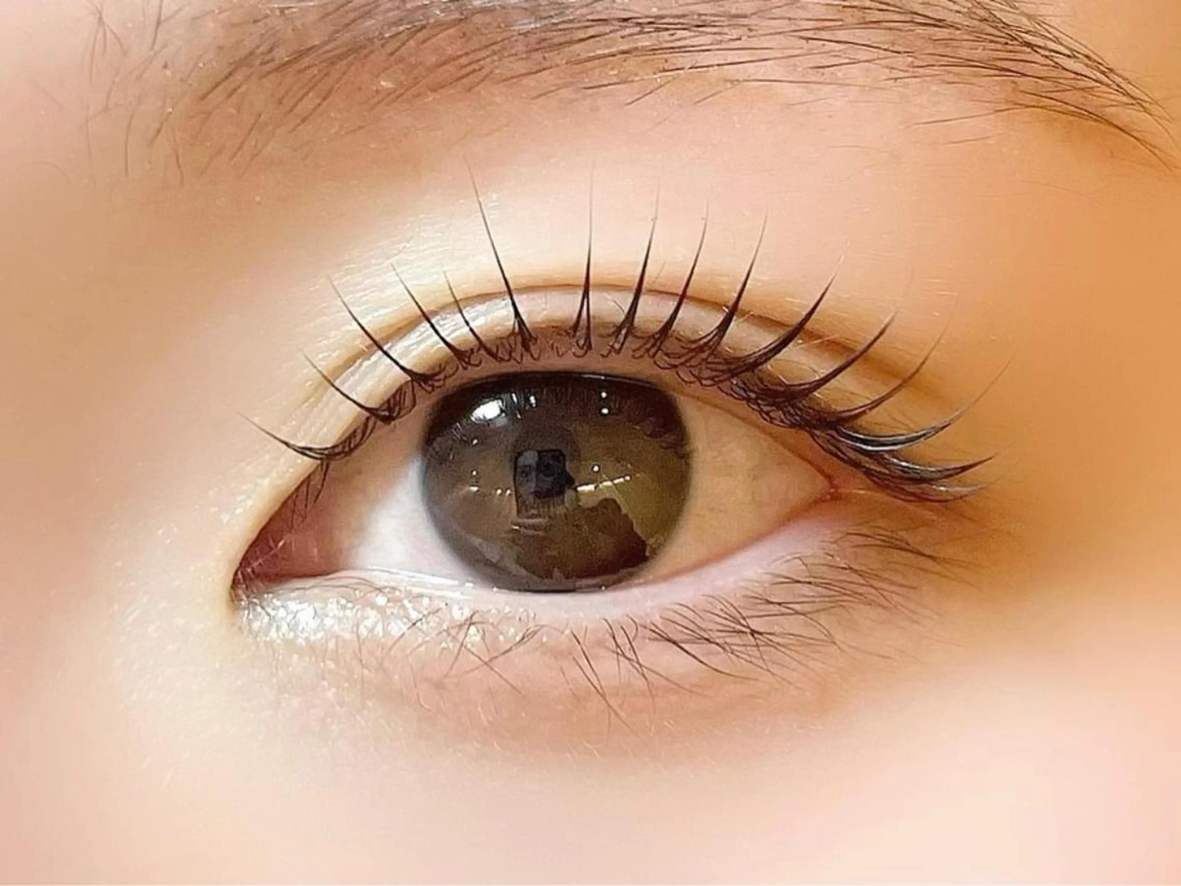 ãããšã¯ã»ããã sola: neoliveçç°ã®ãããšã¯ã»ããããã¶ã€ã³