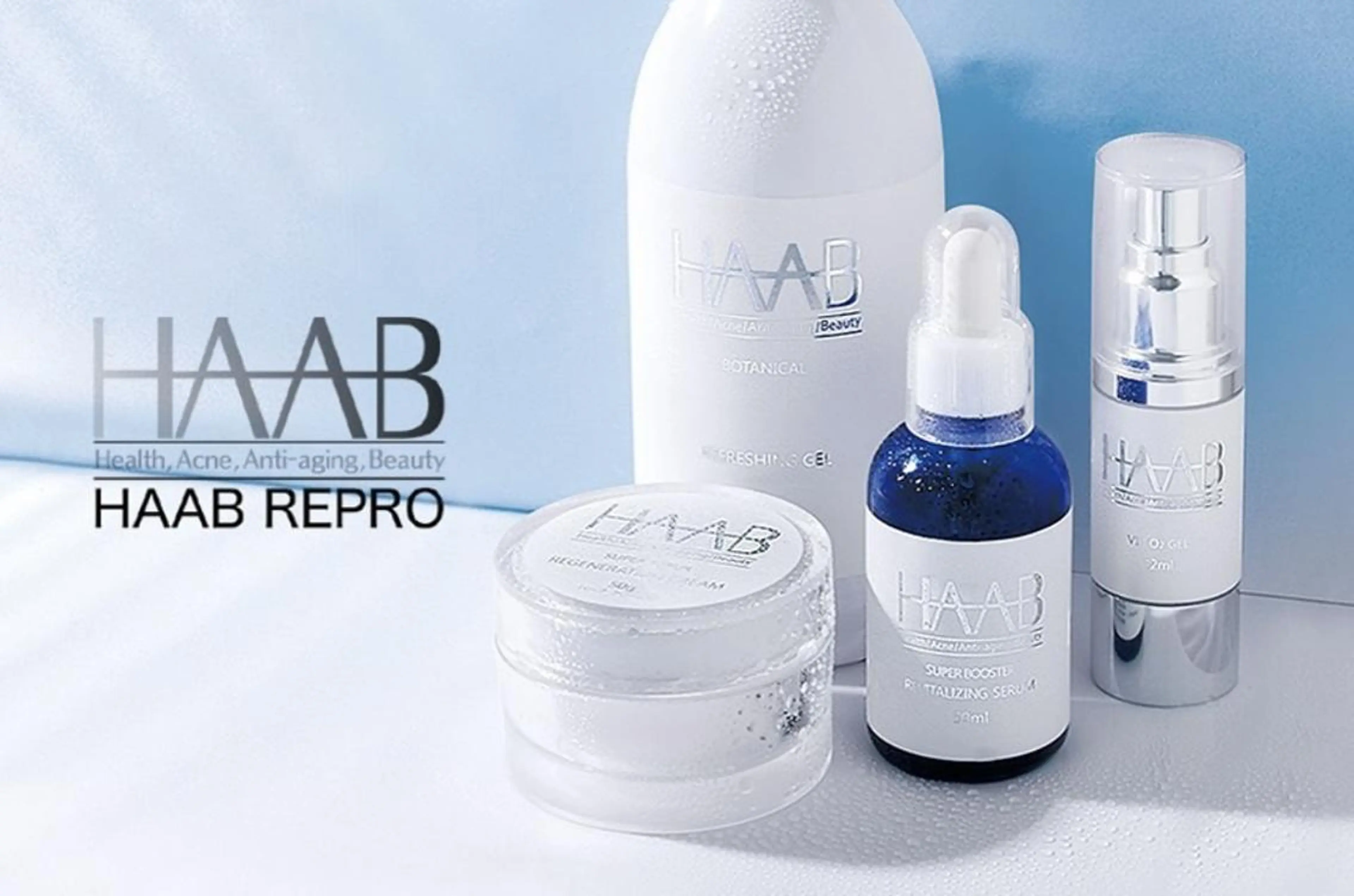 HAAB REPROの写真