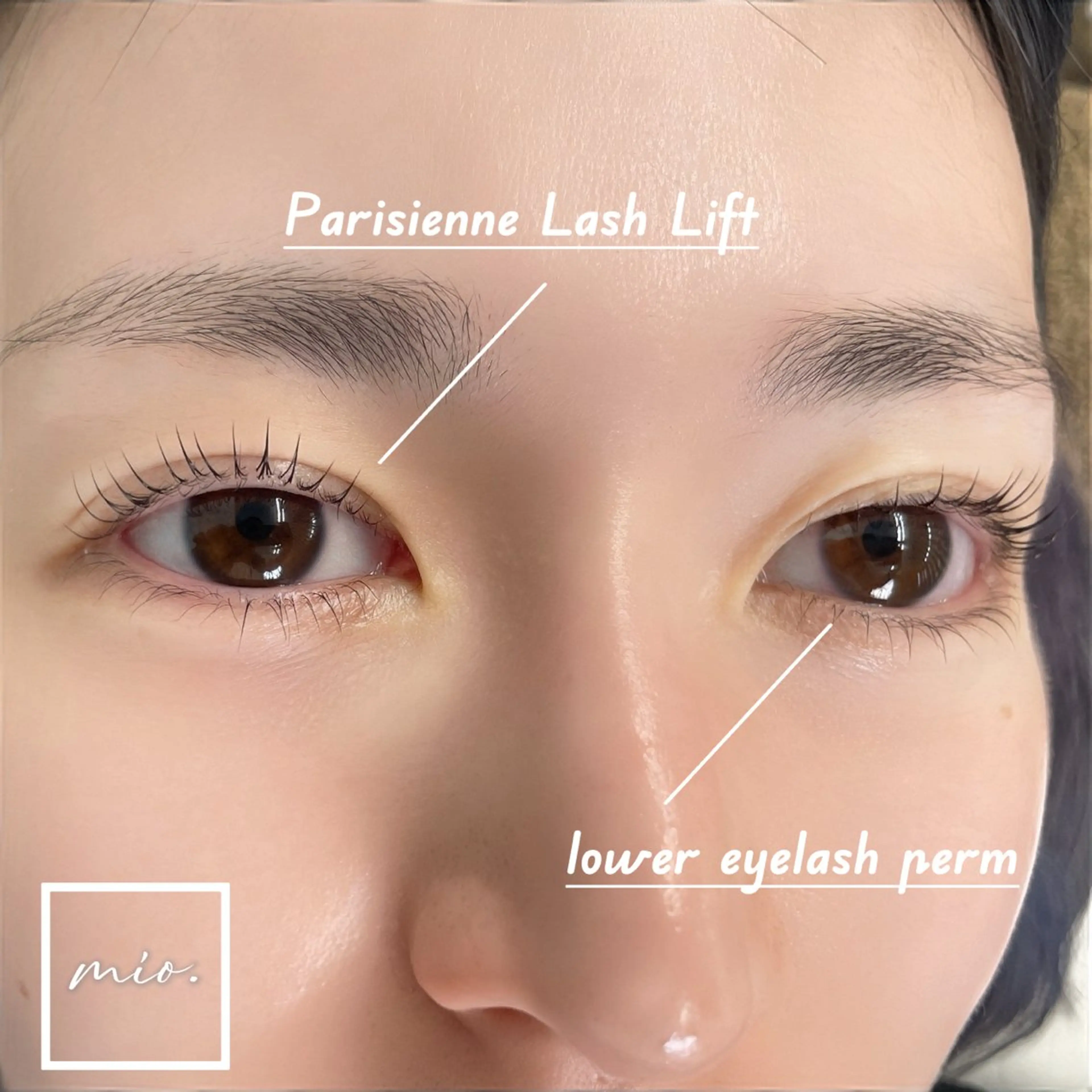 マツエク・マツパ パリジェンヌラッシュリフト 下まつげエクステ mai /マツパ.眉の眉毛・アイブロウイメージ