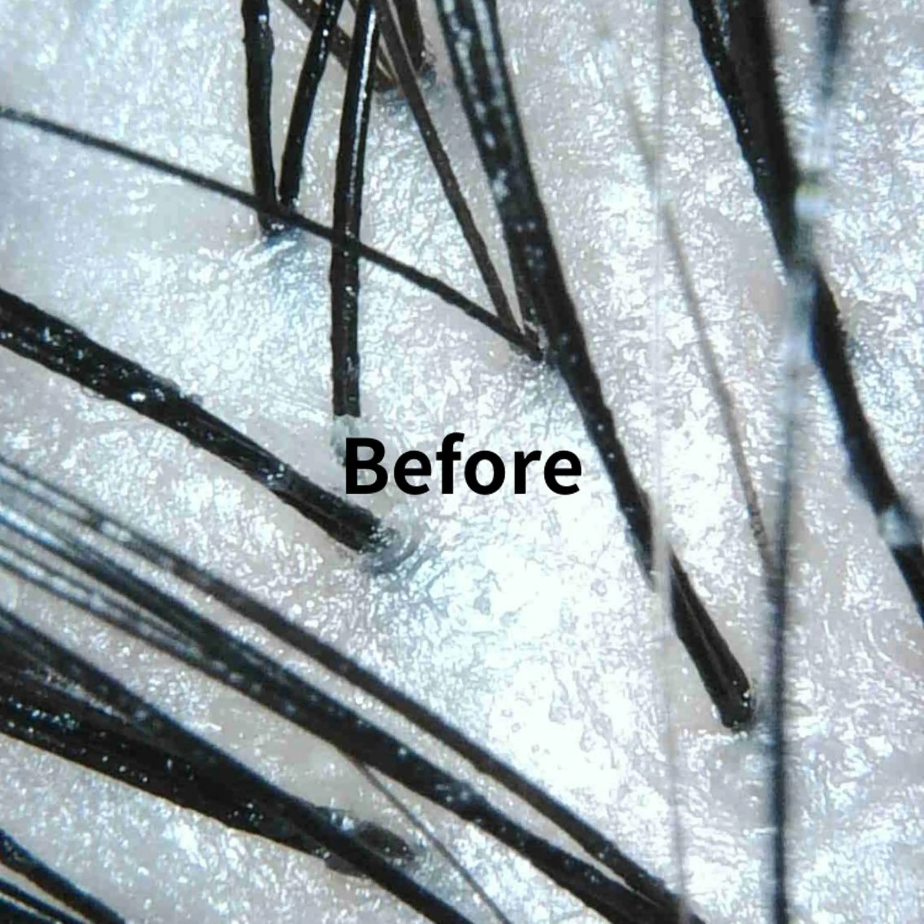 CALON銀座 極上のヘッドスパのヘアスタイル