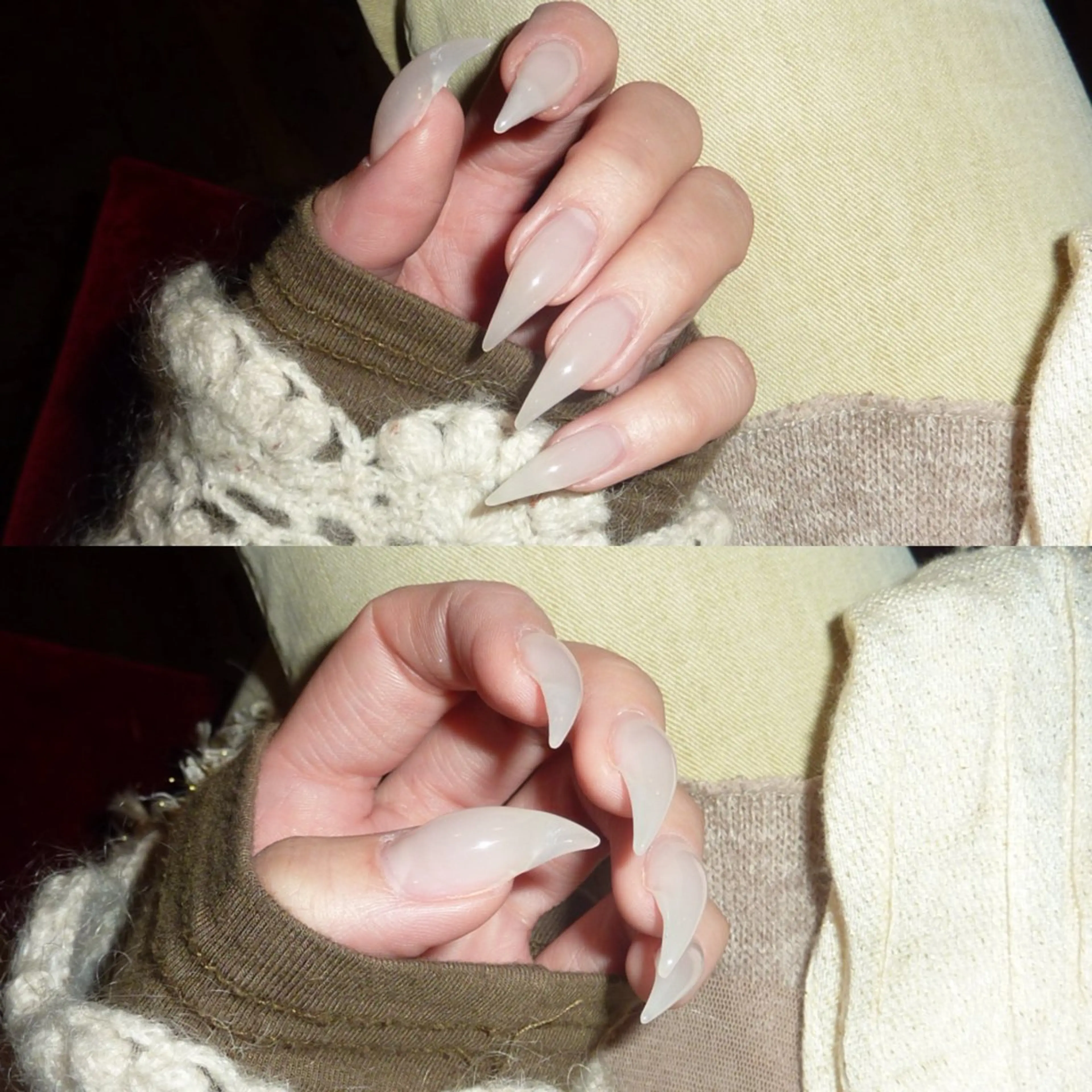 猫爪 ໒꒱ 10本長さだし (オフ込み)の写真