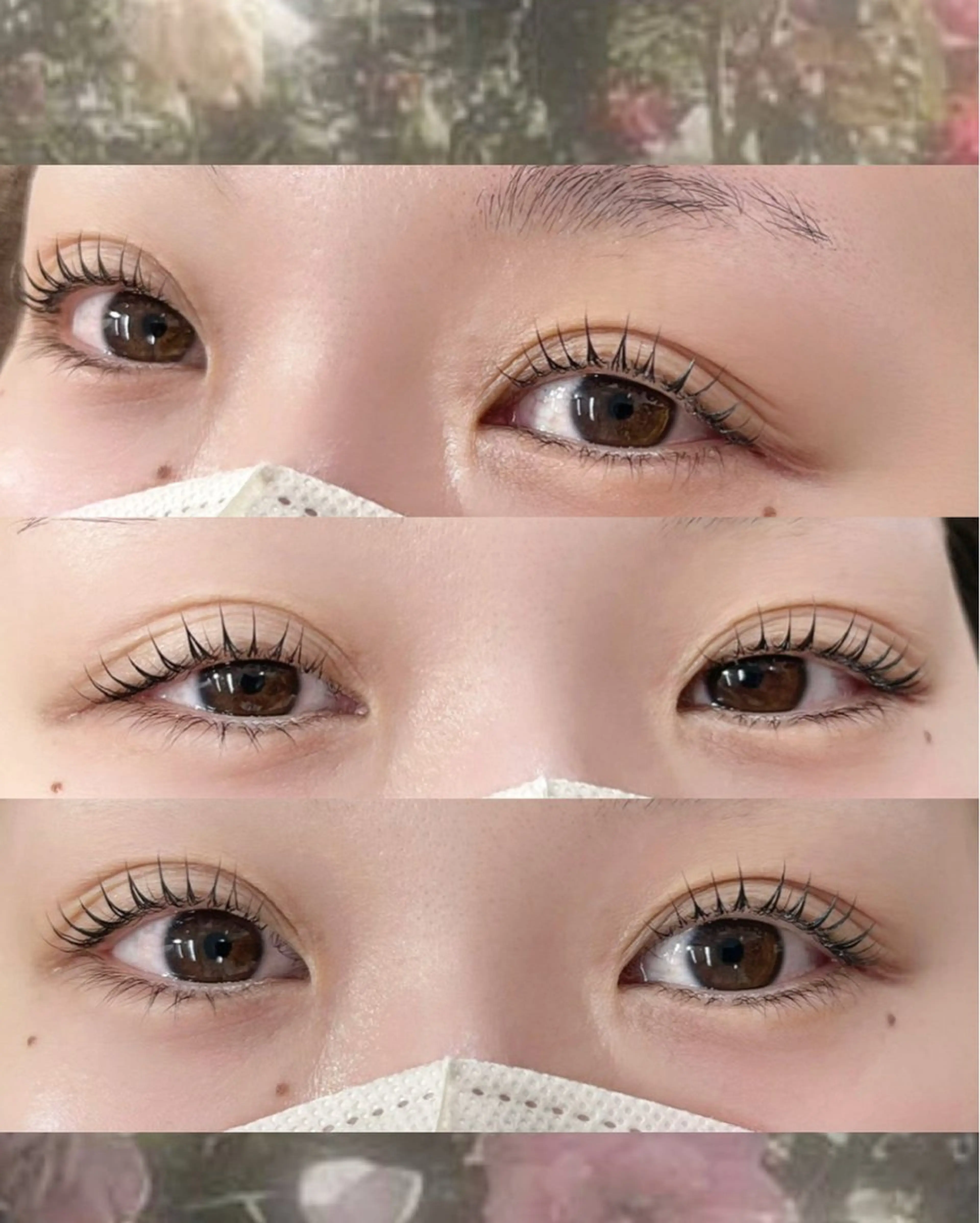 韓国ロッド有り🇰🇷束感まつげパーマ✨の写真