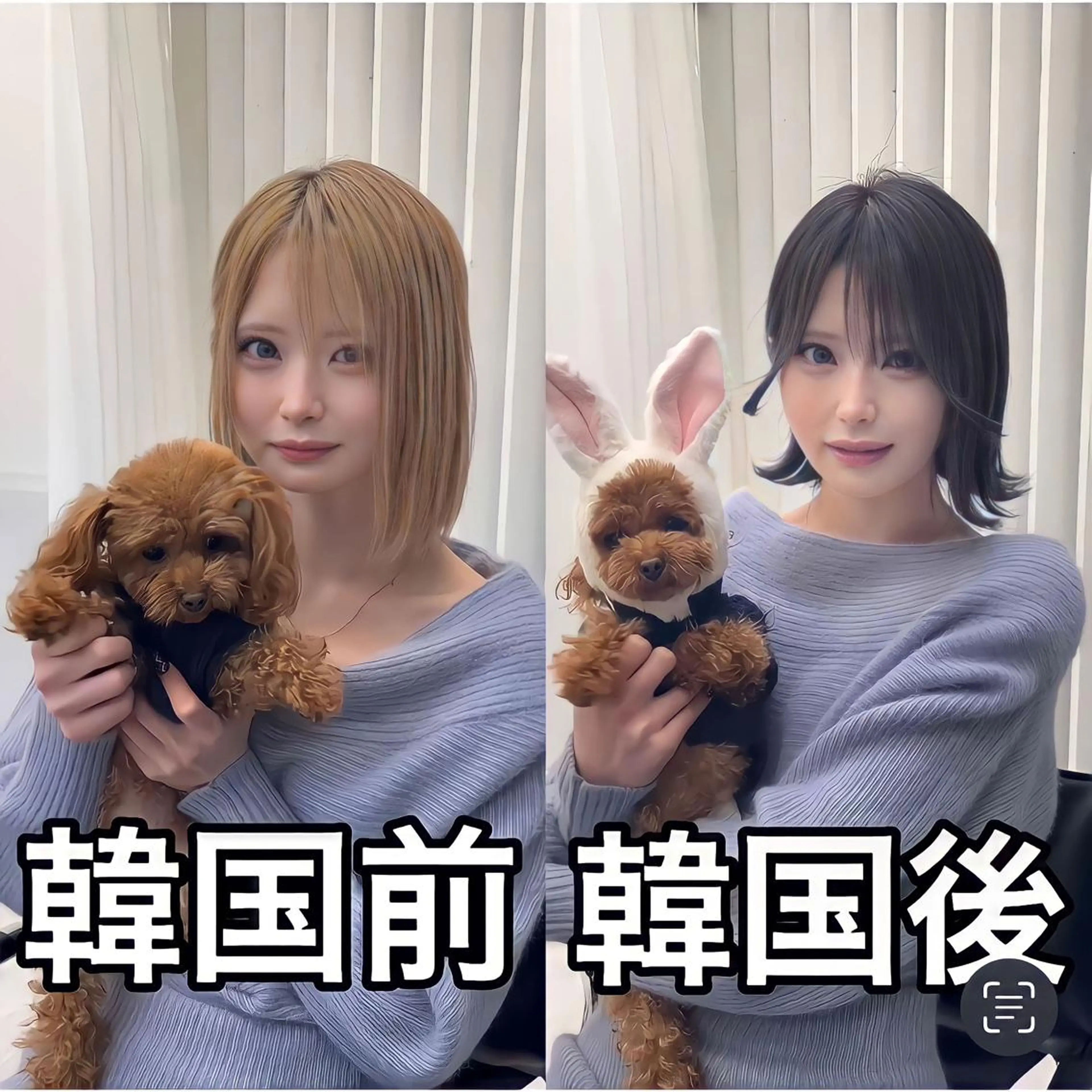 ミディアム カラー パーマ ヘアアレンジ 結婚式・ブライダル アッシュ ベージュカラー 黒髪 ブリーチ 韓国ヘア×2way 🇰🇷和知拓郎のヘアスタイル