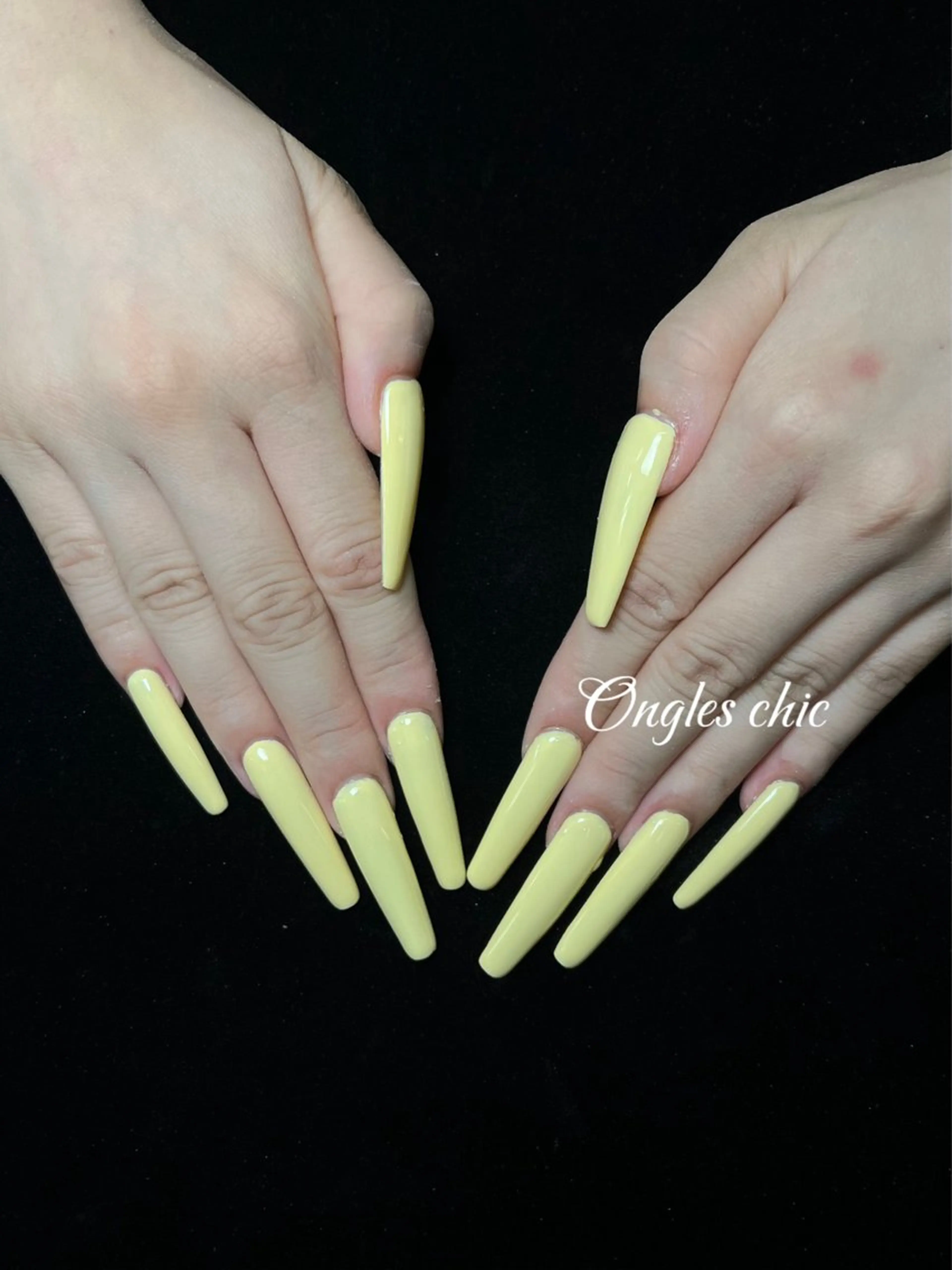 ネイル ハンドネイル ongles chicのネイルデザイン