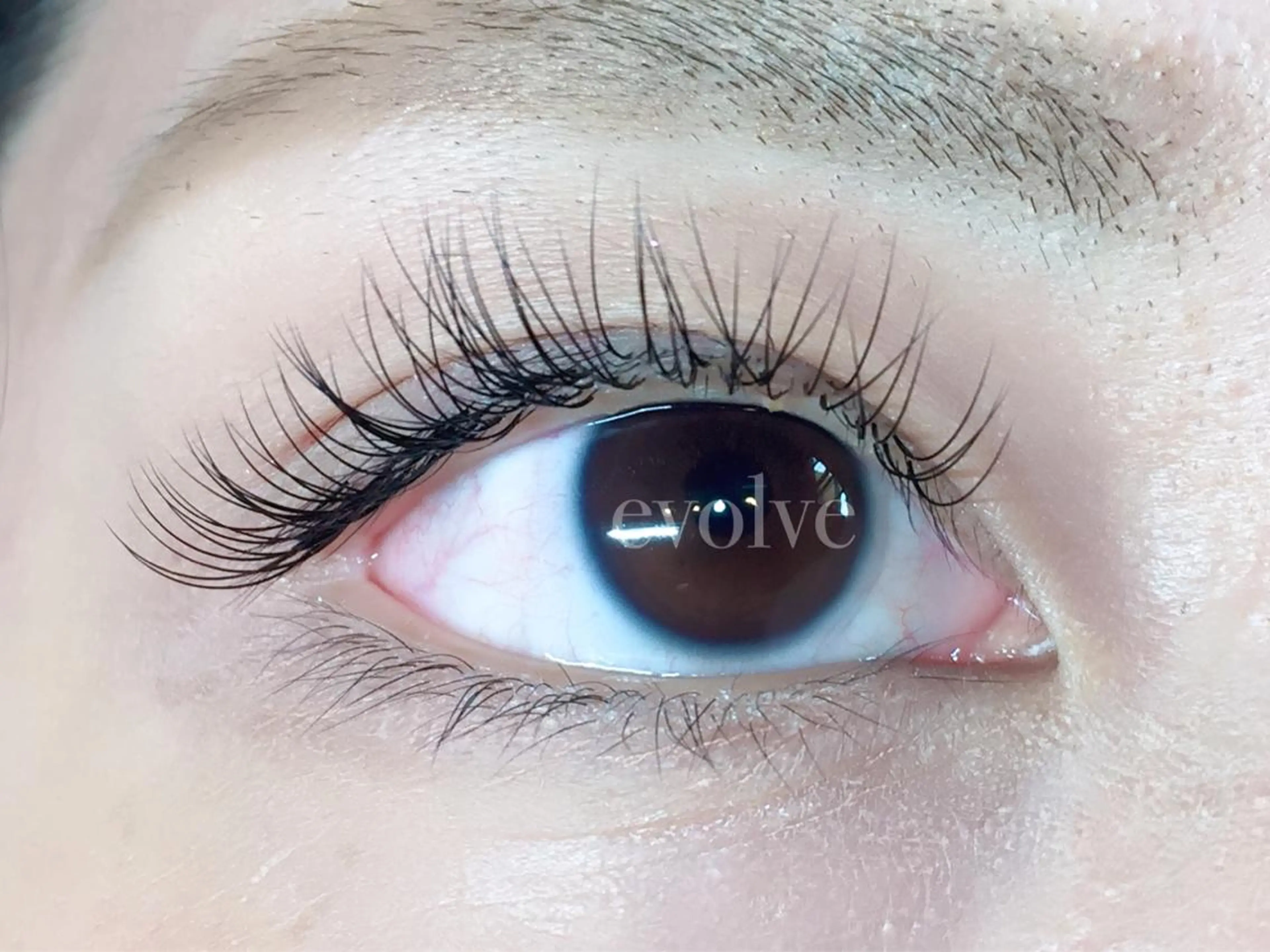 マツエク・マツパ Cカール マツエク evolve by TypeAB所属・evolve  by TypeABのマツエク・マツパデザイン