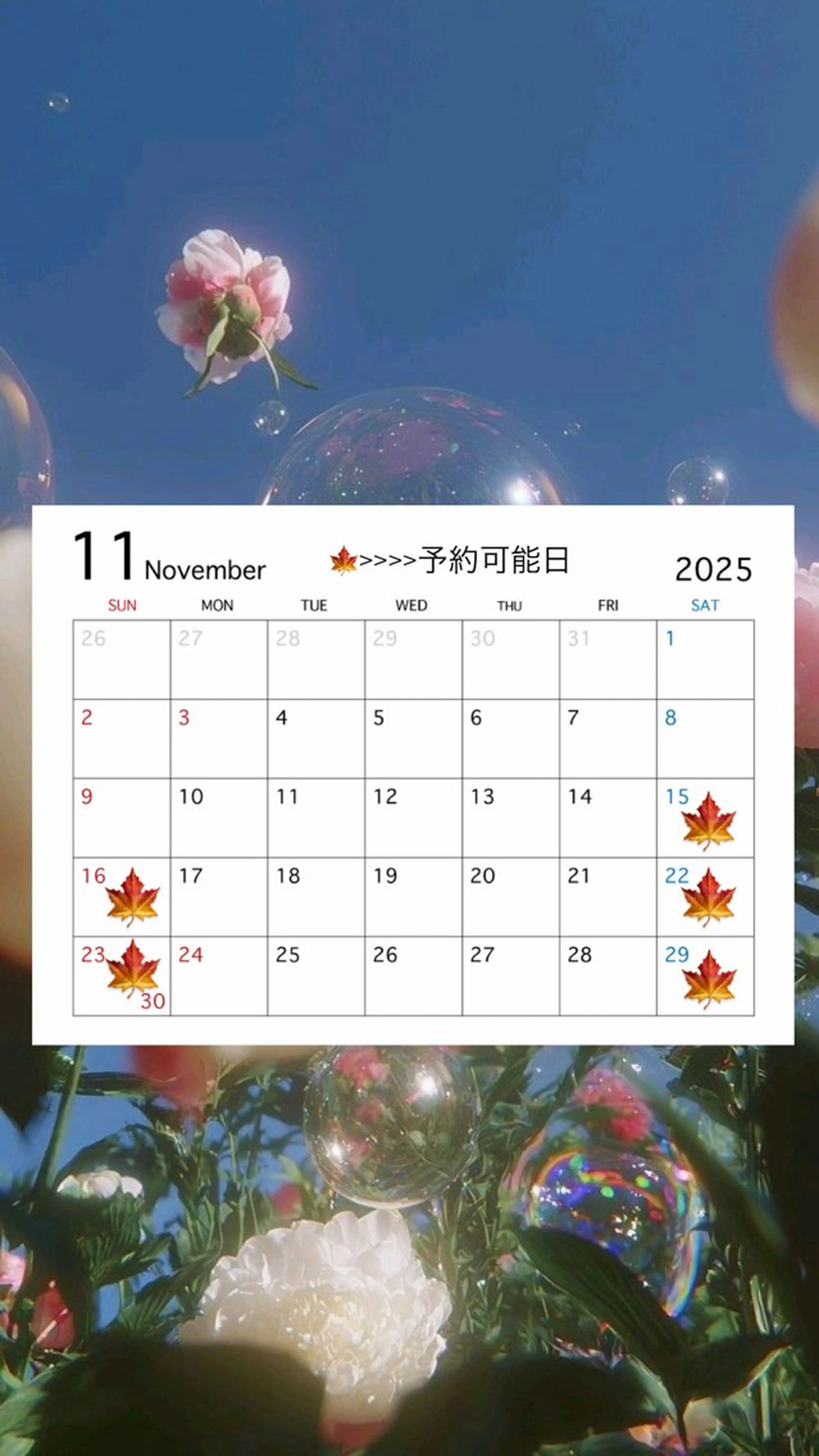 マツエク・マツパ まつげパーマ マツパ crevia所属・chi eのマツエク・マツパデザイン