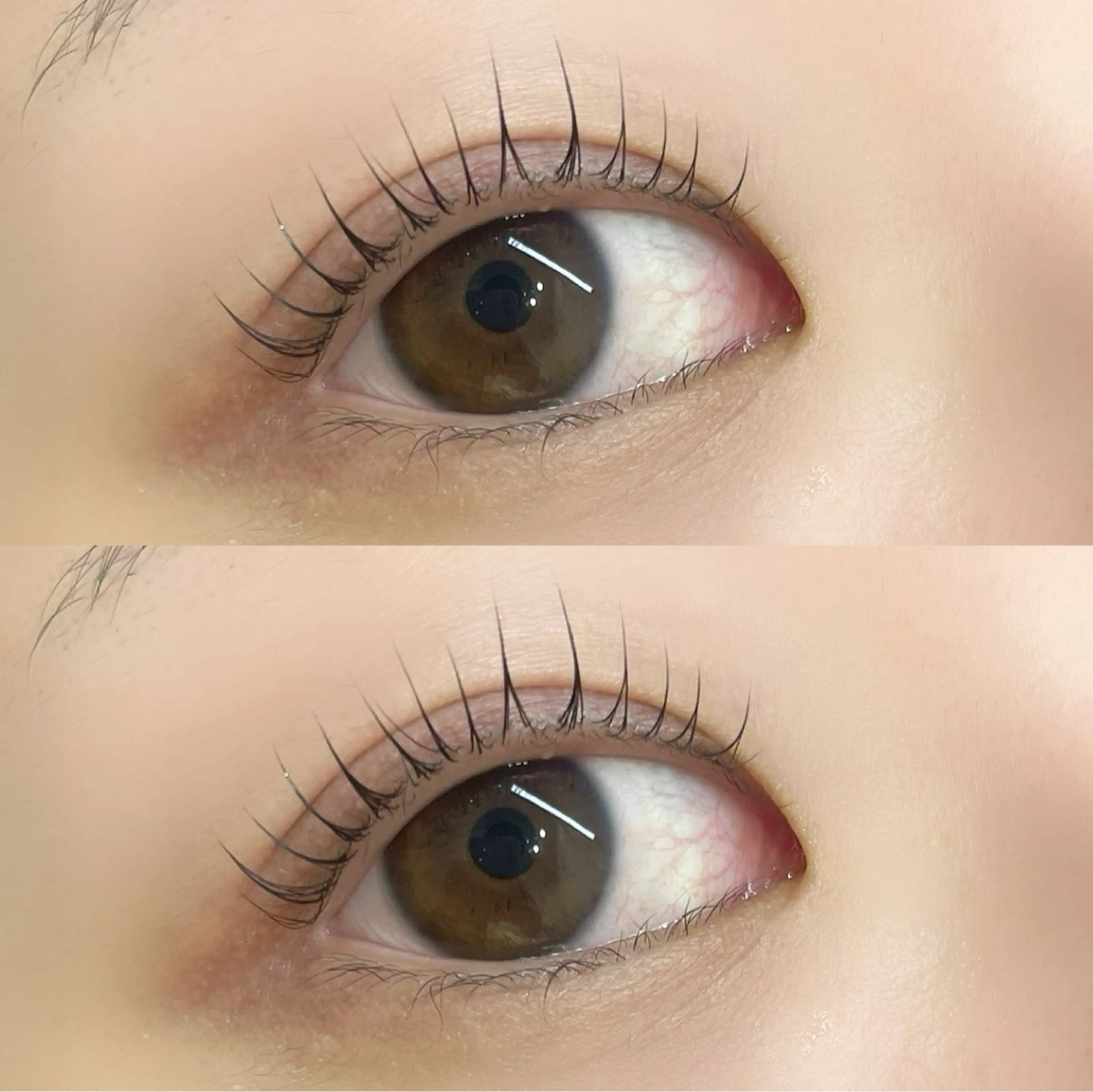 マツエク・マツパ パリジェンヌラッシュリフト マツパ Lumina yutoriのマツエク・マツパデザイン