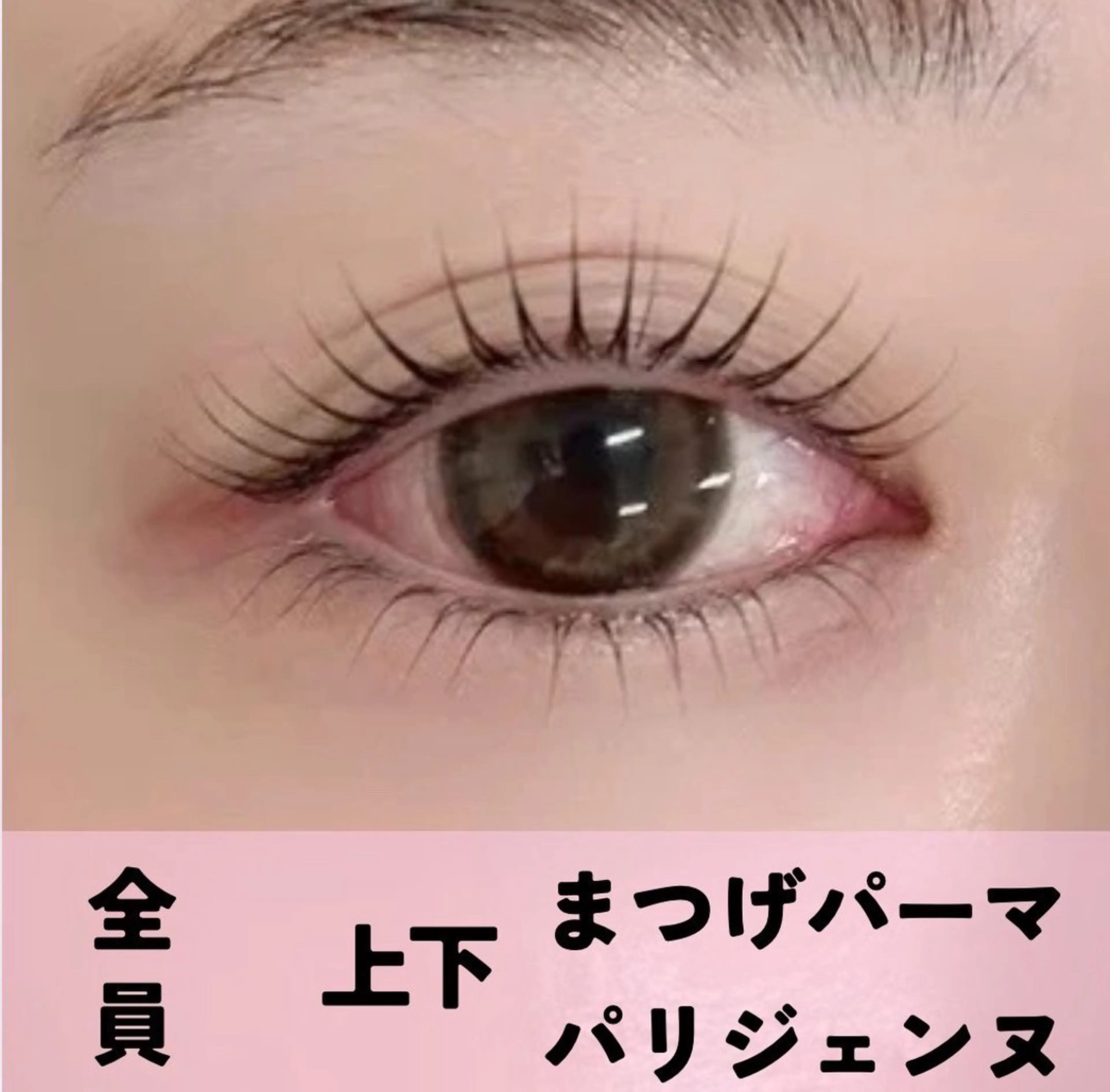 パリジェンヌラッシュリフト 上下《補修ケラチンTR込》(120分)の写真
