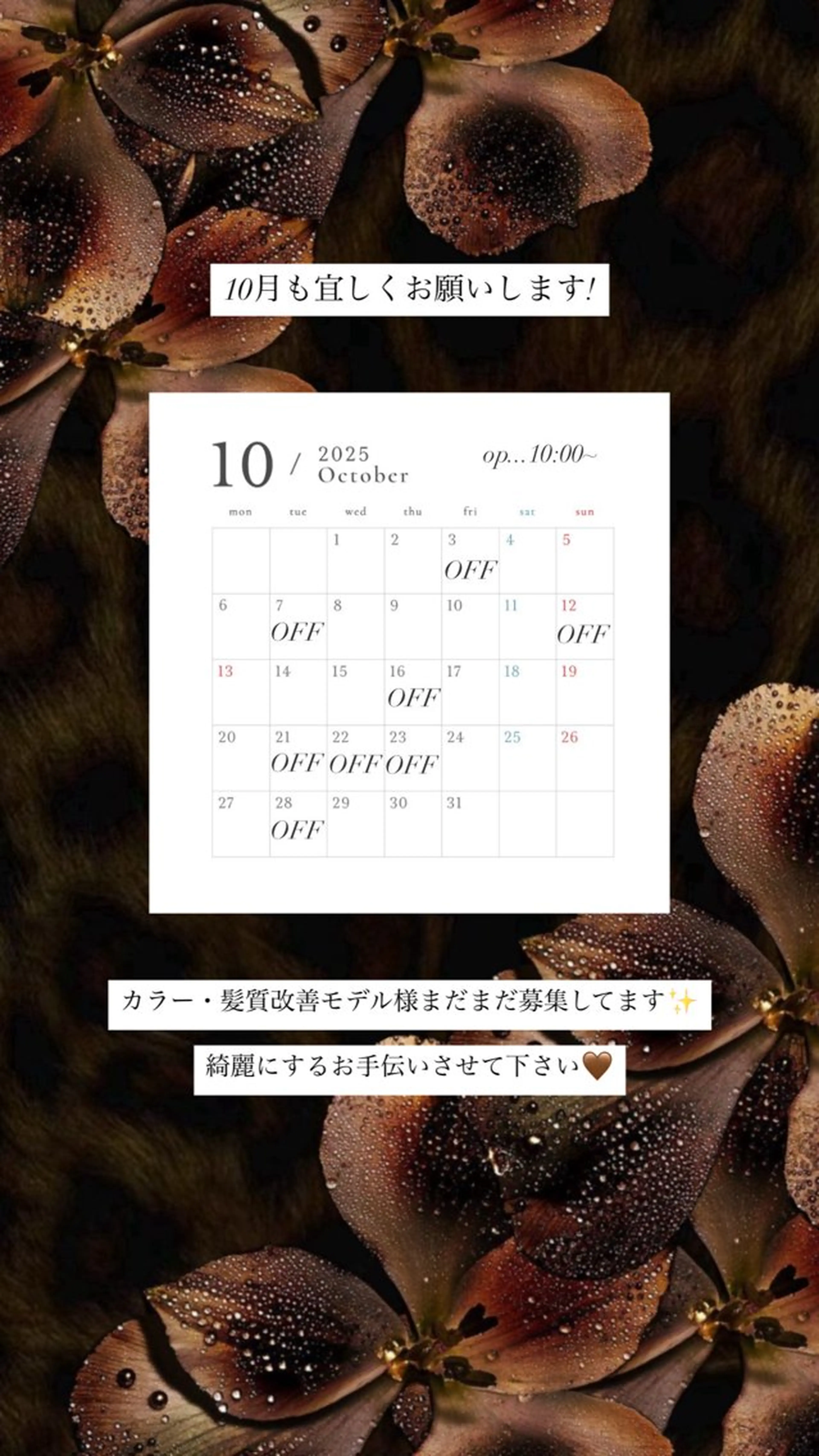 miloc sayaのヘアスタイル