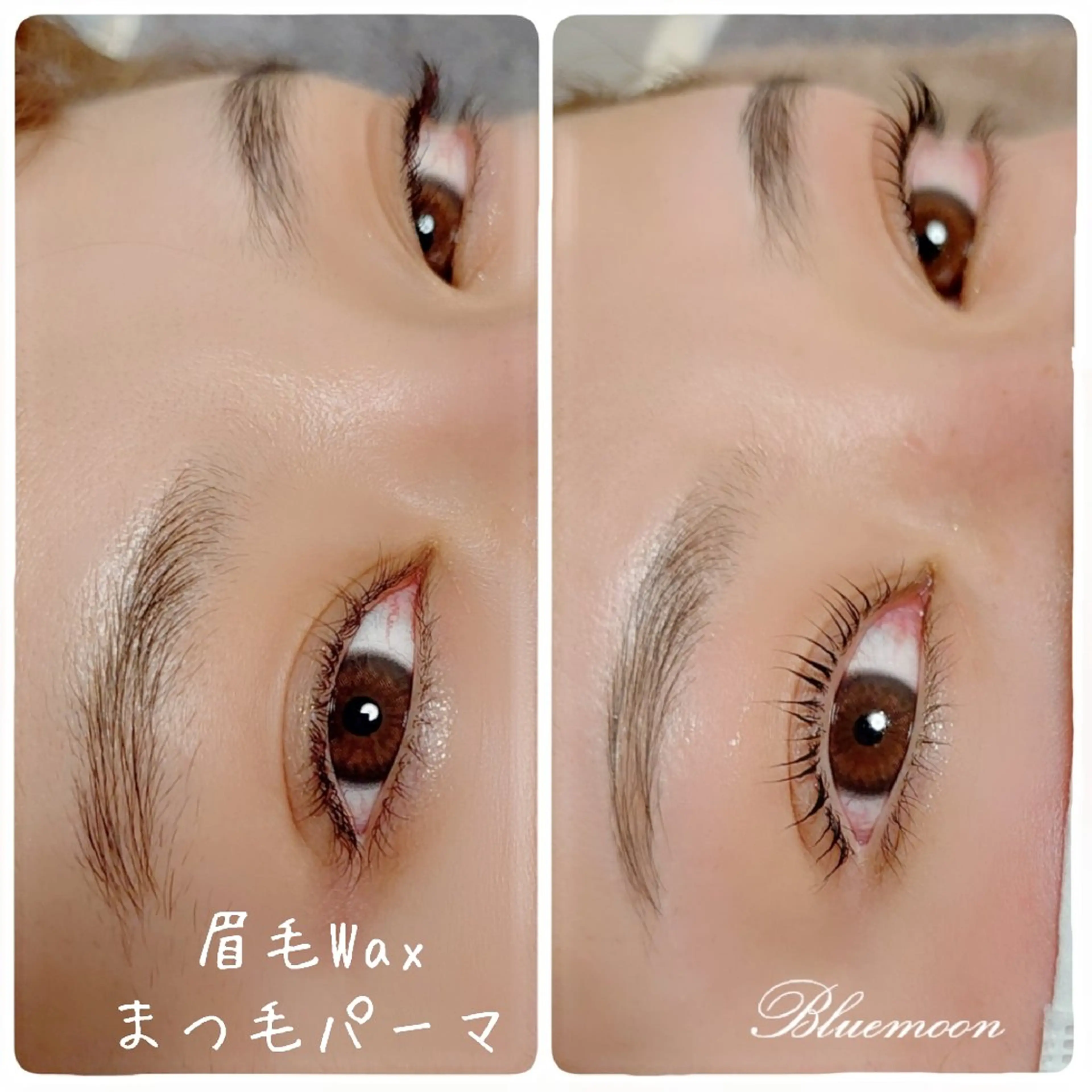 アイブロウ Bluemoon所属・Blue moonのマツエク・マツパデザイン