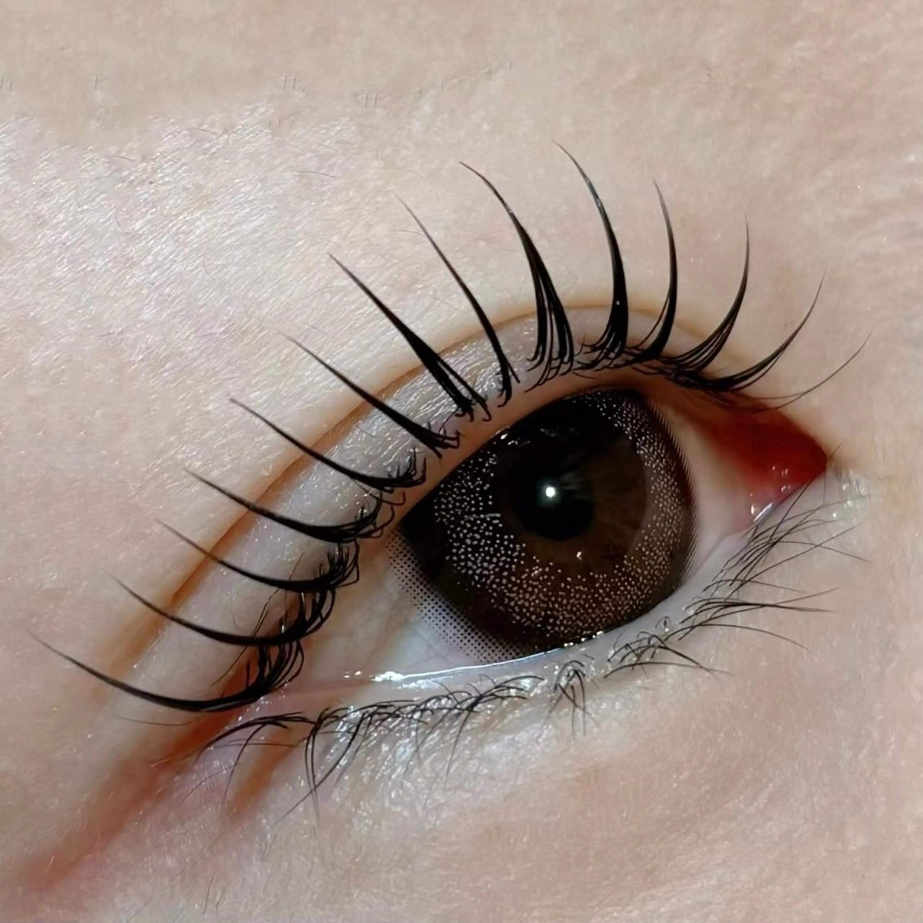 マツエク・マツパ 一重×まつ毛パーマ TOPBROW天王寺店所属・topbrow / moe🦙♡のマツエク・マツパデザイン