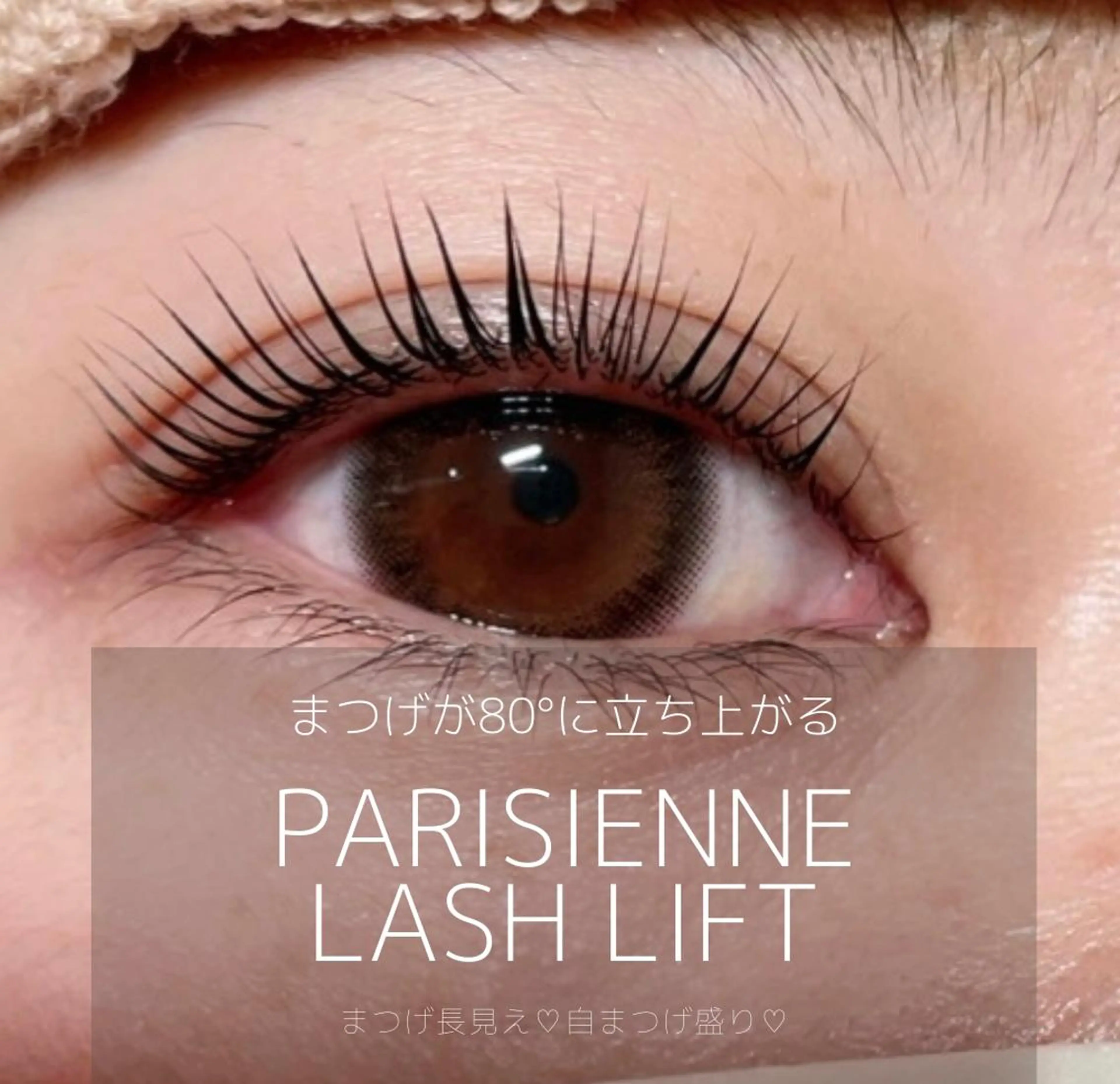 マツエク・マツパ パリジェンヌラッシュリフト MAQUIA諫早店 宮崎の眉毛・アイブロウイメージ