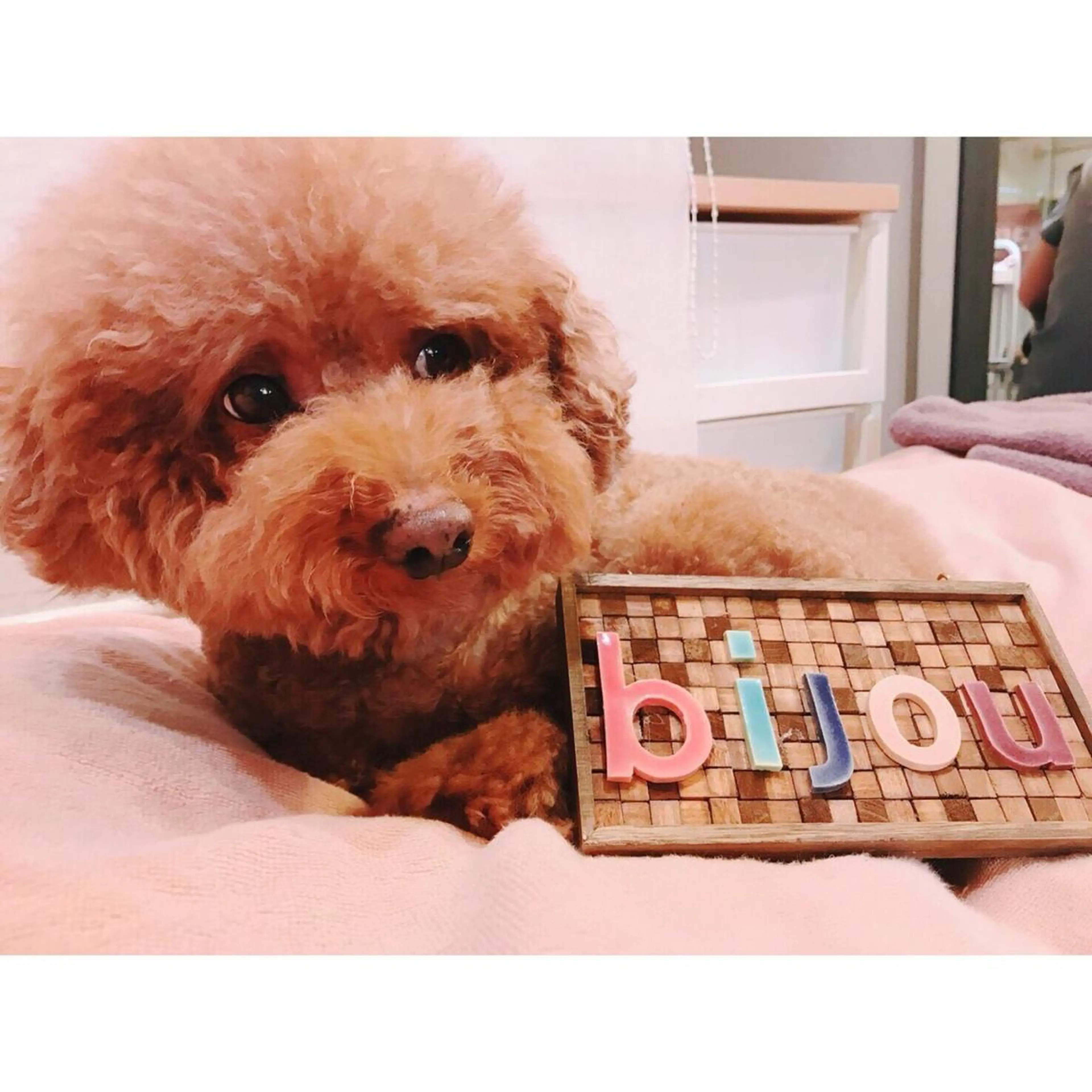 TOPアイリスト misaki🎀担当のマツエク・マツパデザイン