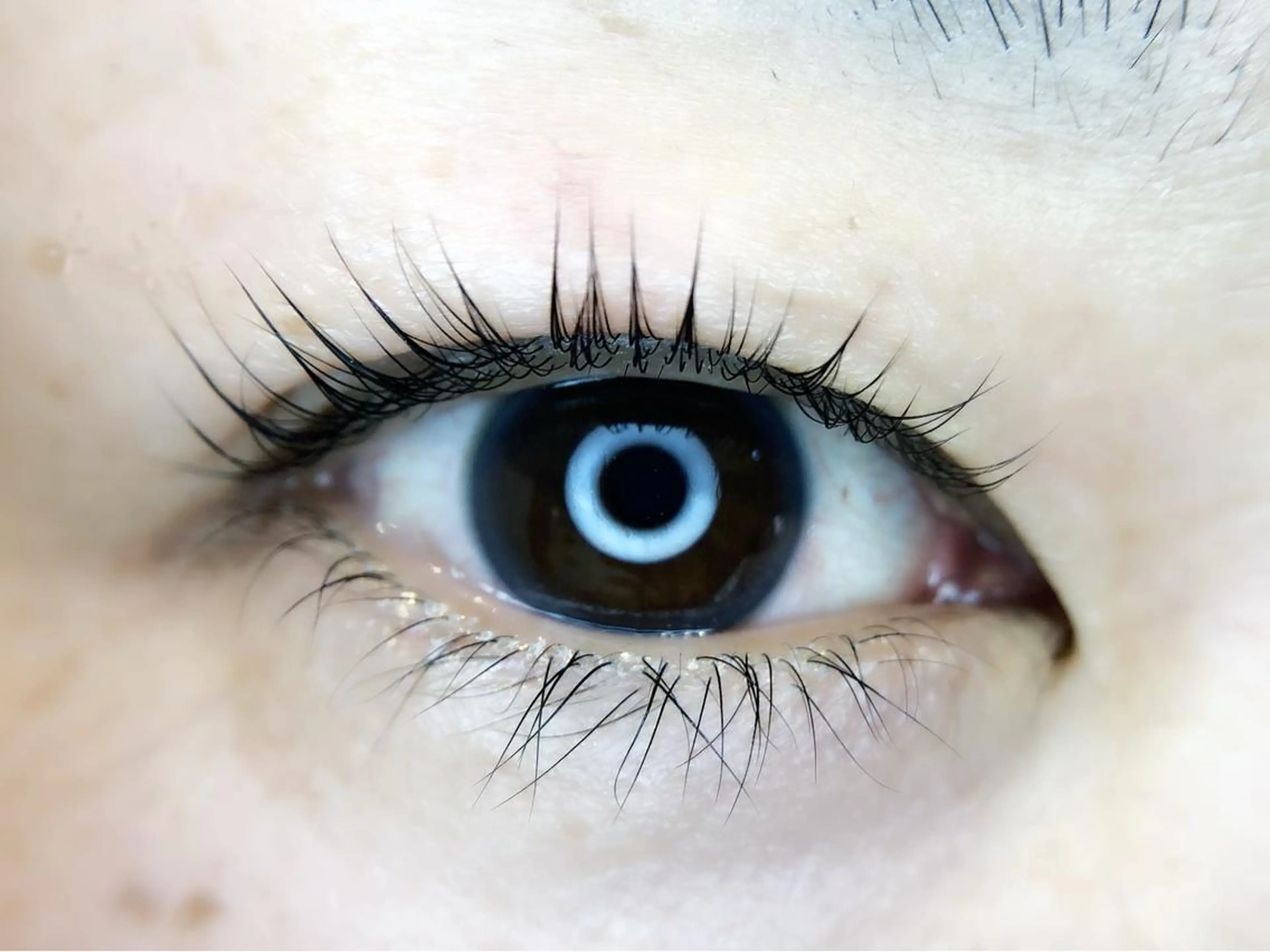 マツエク・マツパ Irima静岡駅前店 松浦のマツエク・マツパデザイン