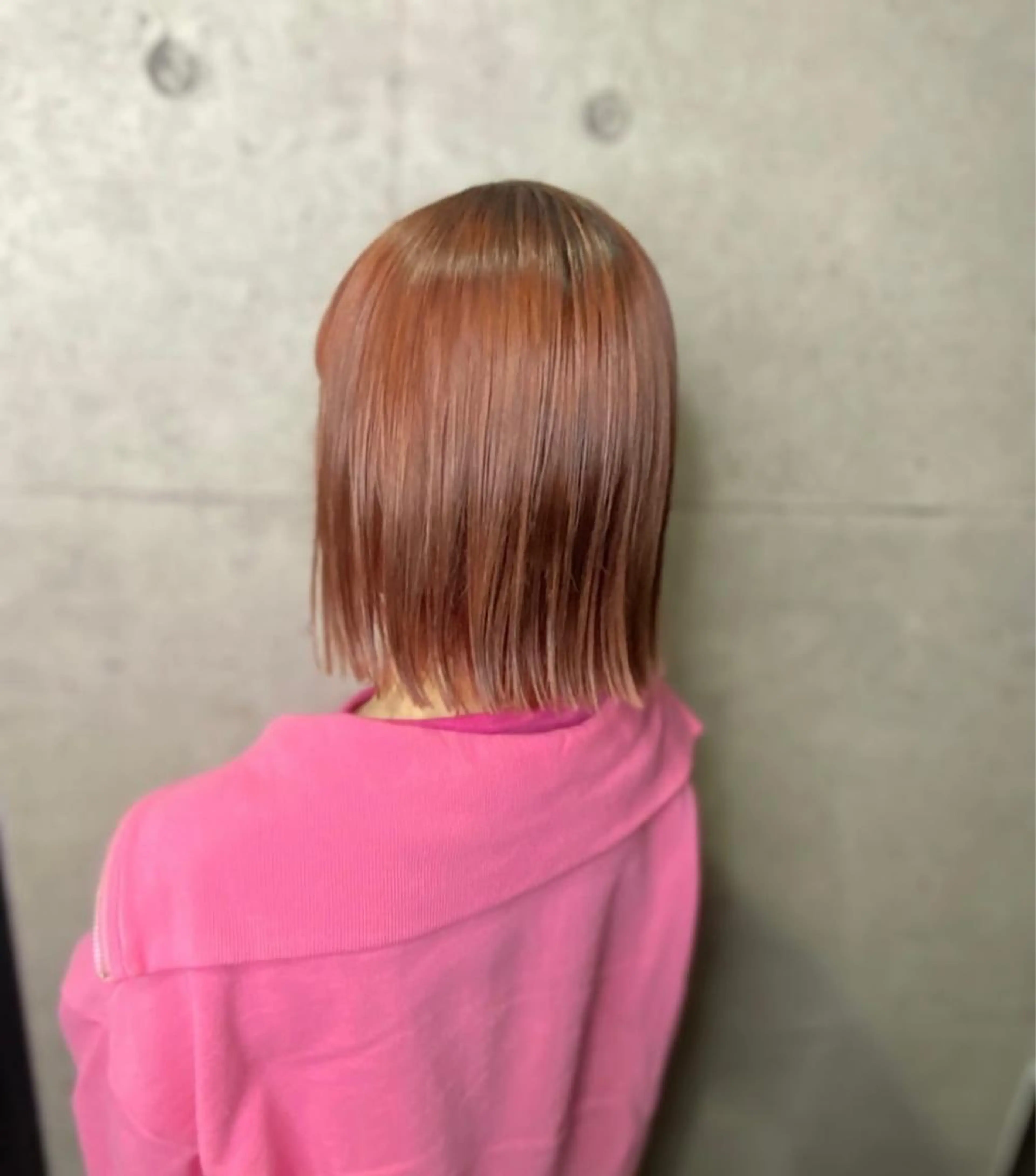 minimo限定ワンカラーの写真