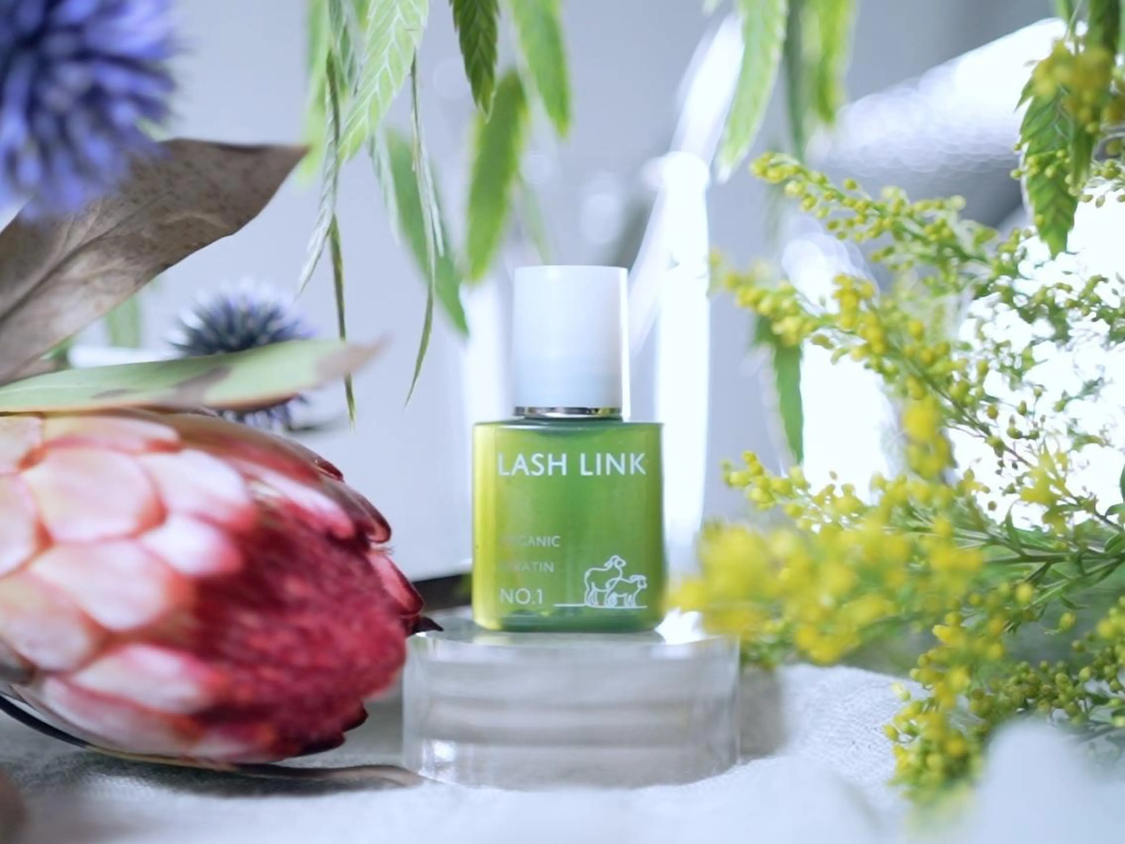 マツエク・マツパ gemme NAIL&EYELASH所属・gemme🌿‬ YUIのマツエク・マツパデザイン